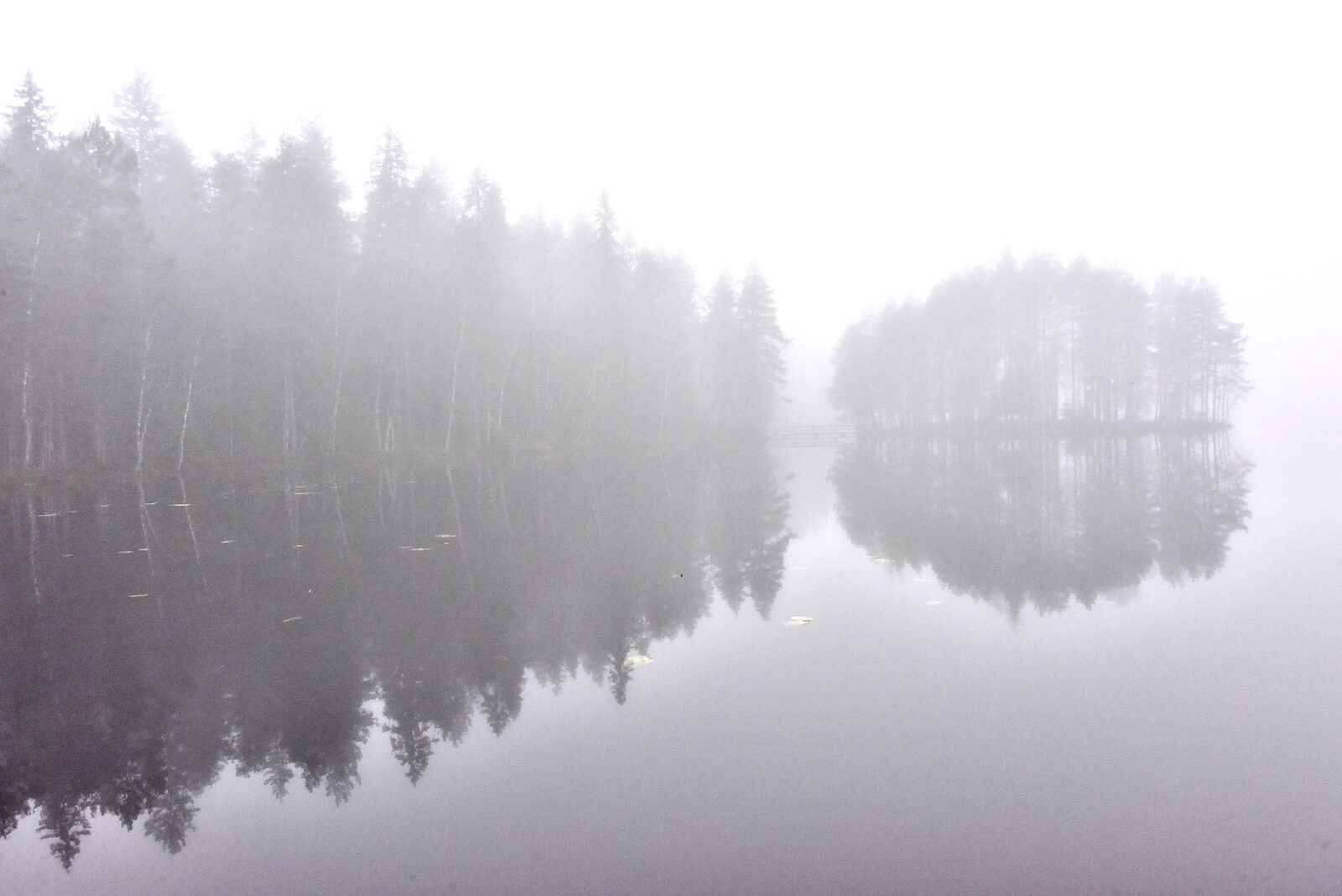 Valokuvaaja: Reijo Juurinen