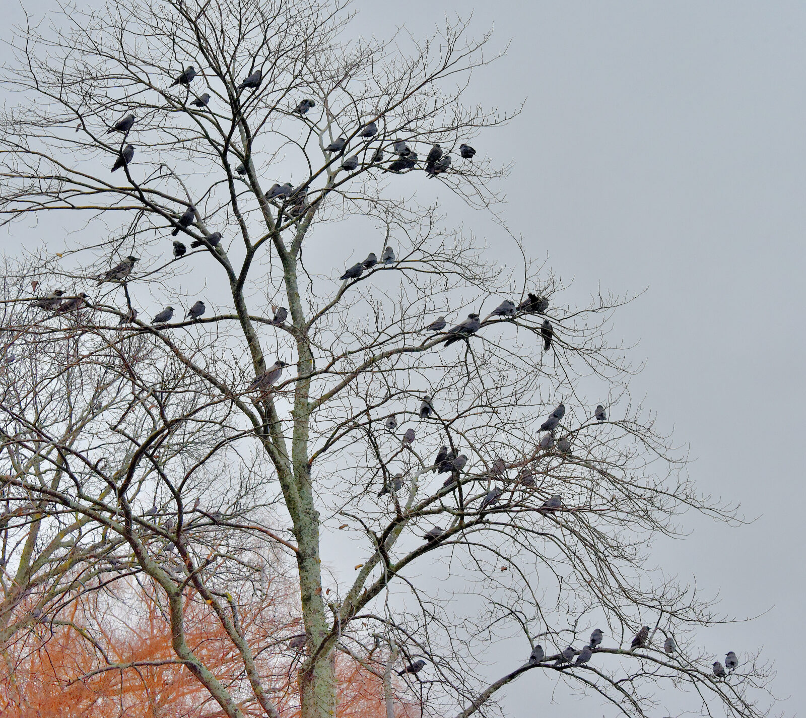 Valokuvaaja: Reijo Juurinen