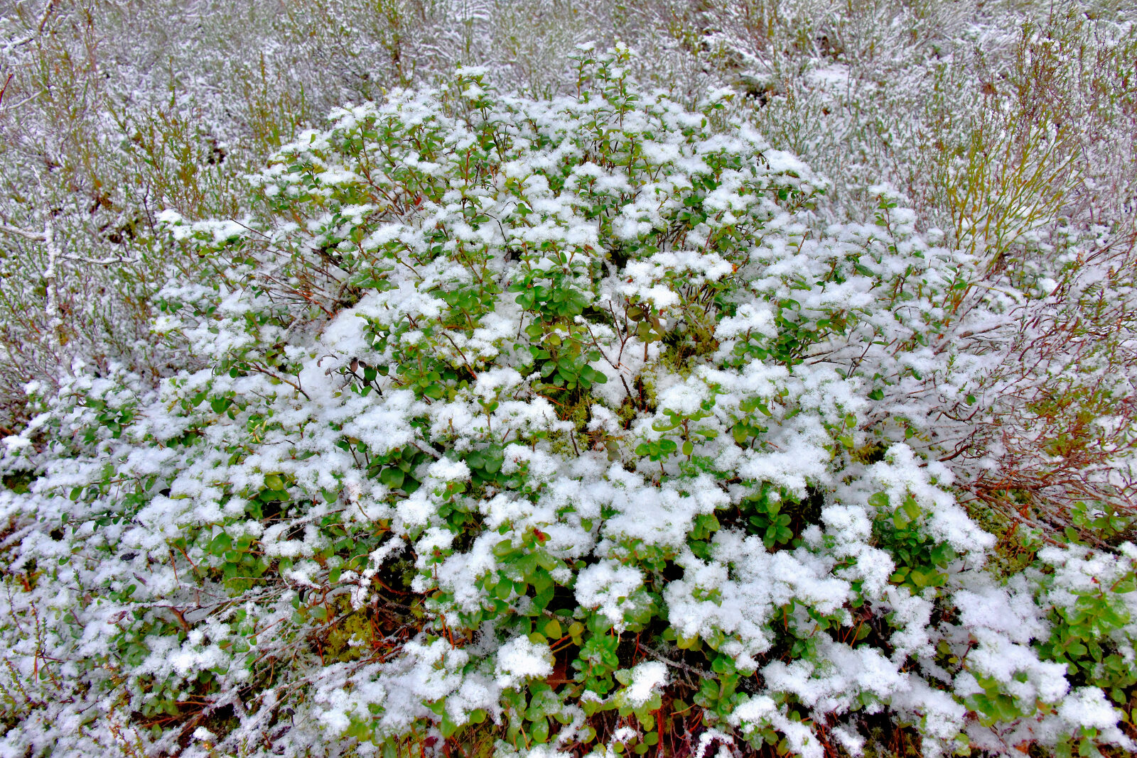Valokuvaaja: Reijo Juurinen