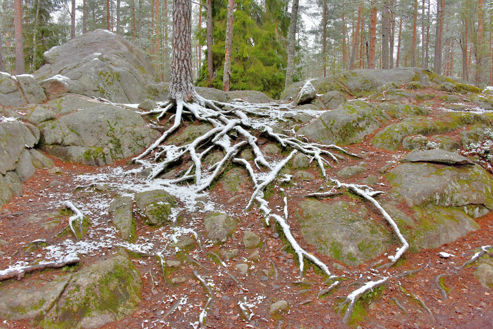 Valokuvaaja: Reijo Juurinen