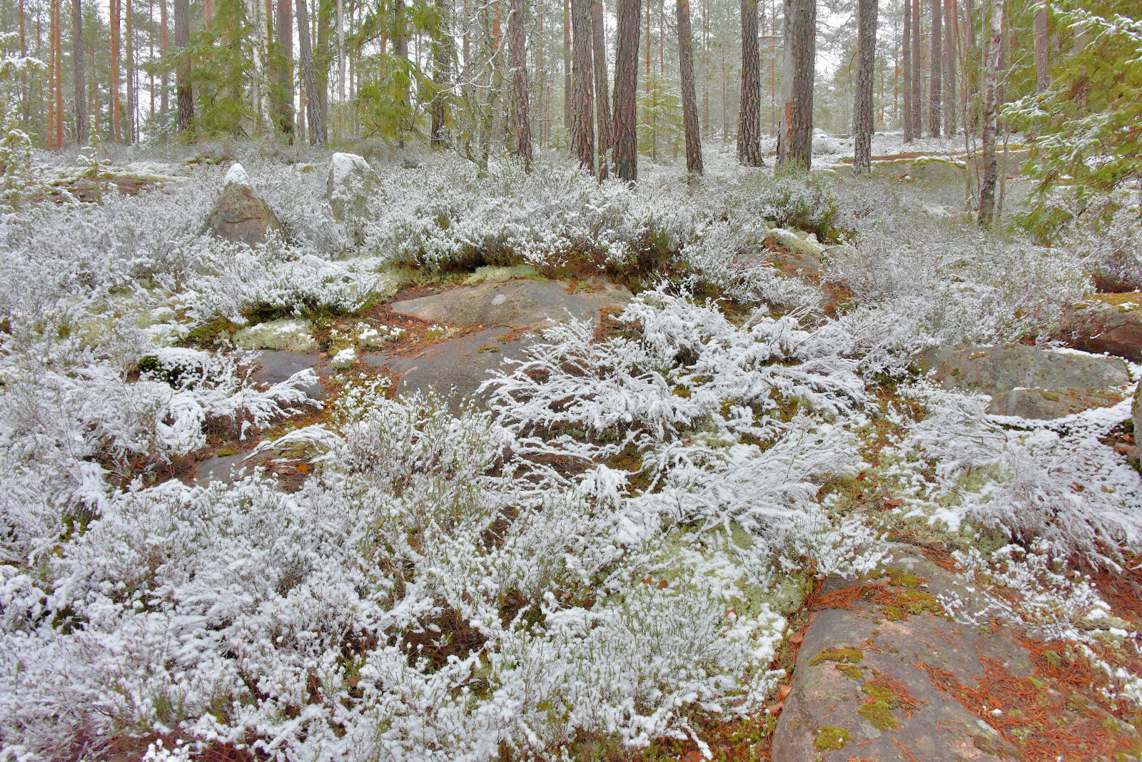 Valokuvaaja: Reijo Juurinen
