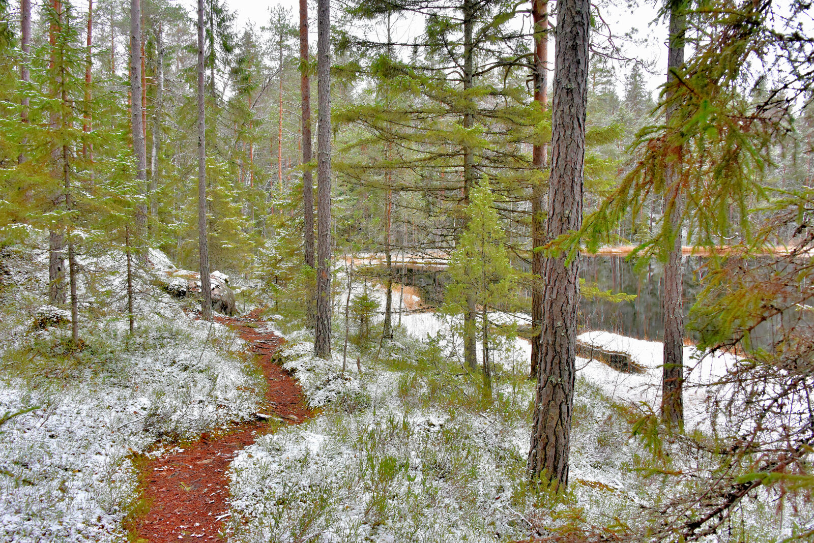 Valokuvaaja: Reijo Juurinen