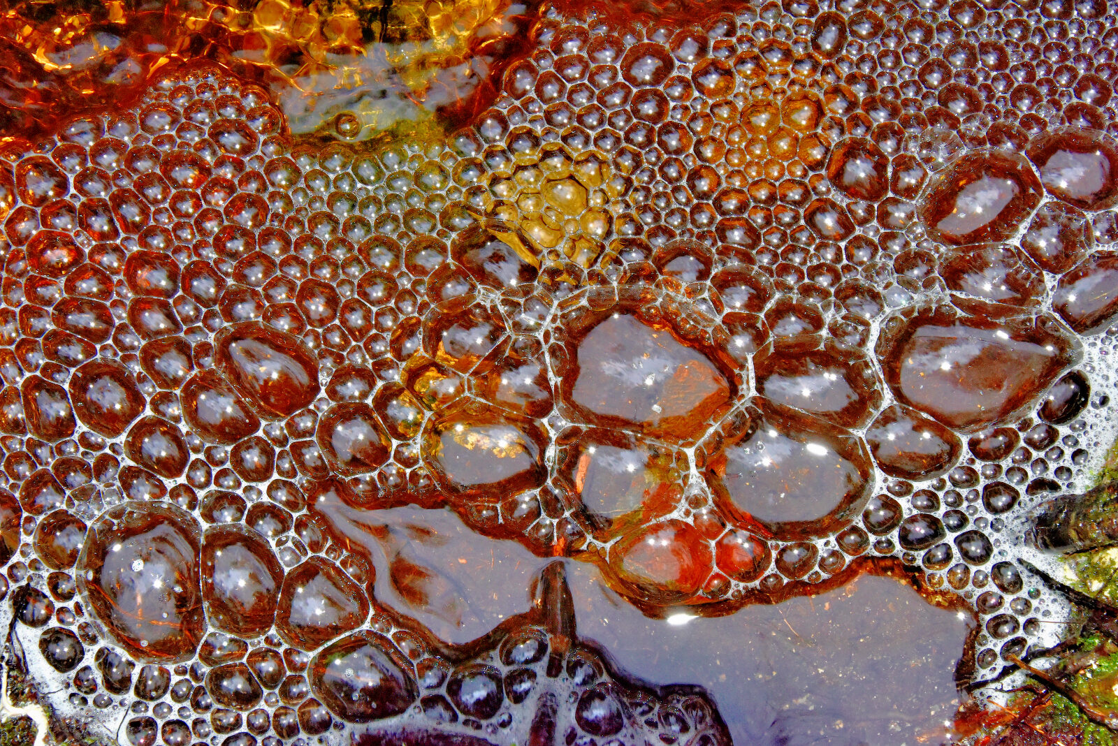 Valokuvaaja: Reijo Juurinen