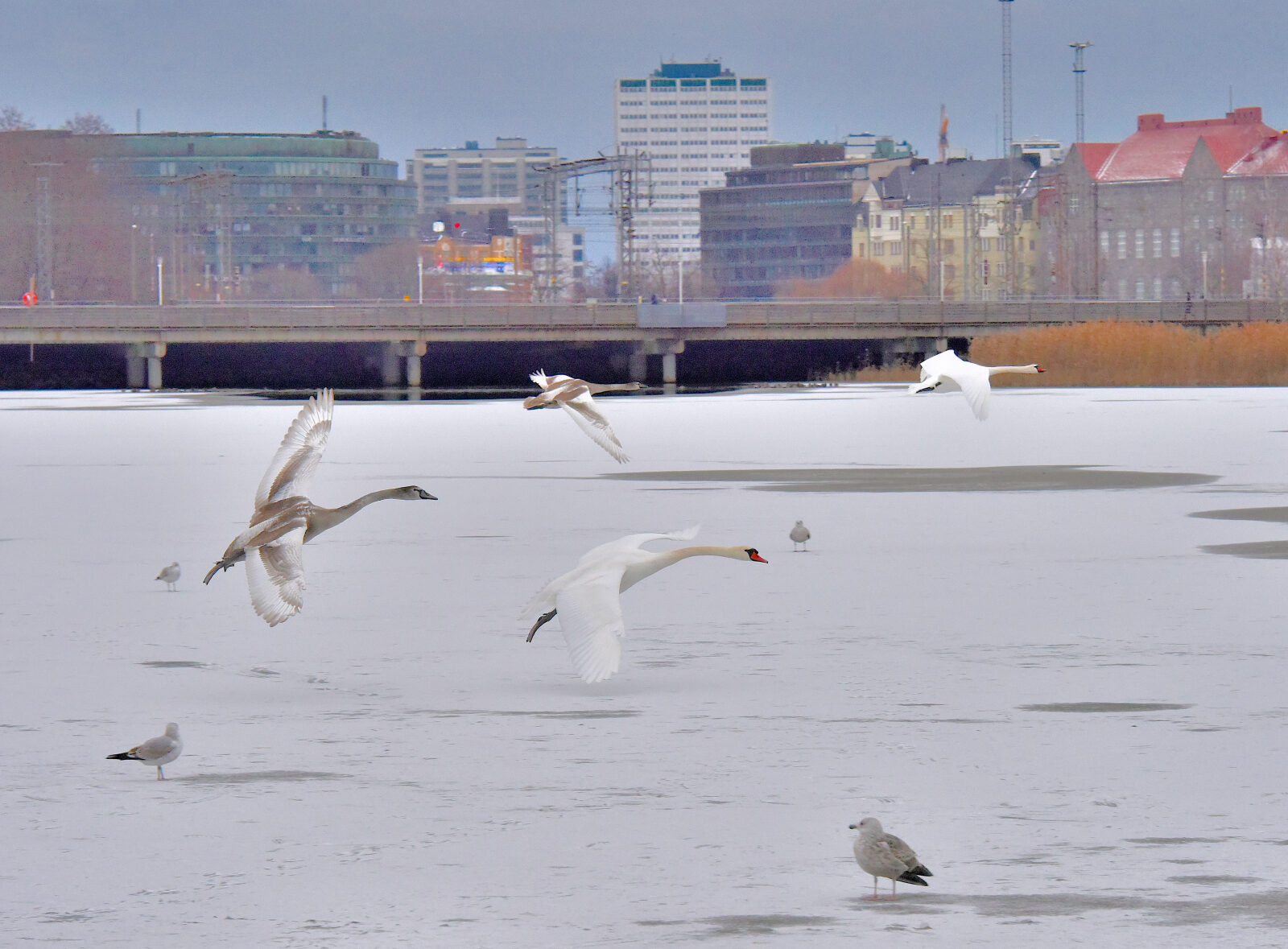 Valokuvaaja: Reijo Juurinen