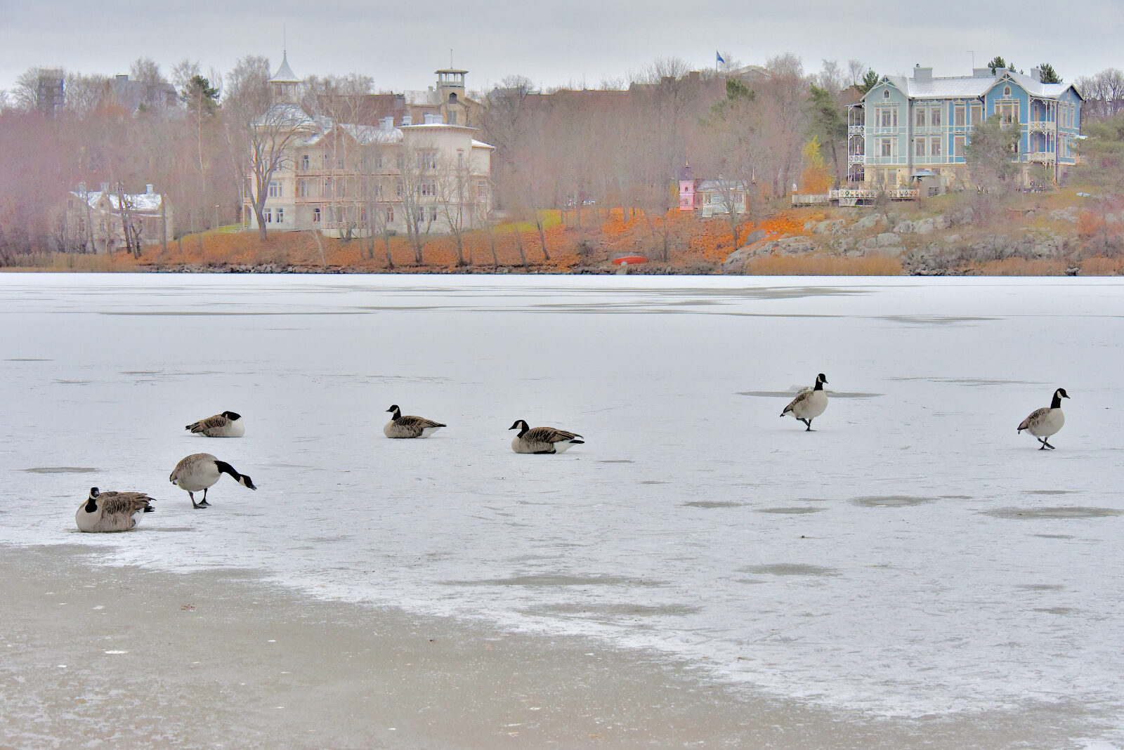 Valokuvaaja: Reijo Juurinen