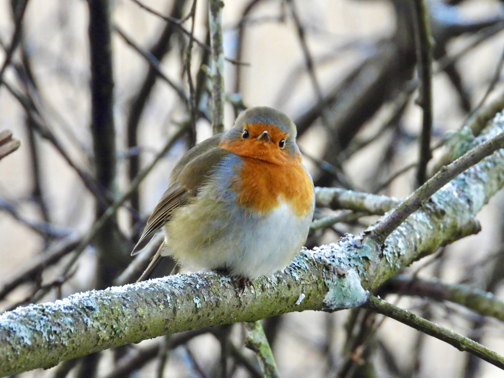 Valokuvaaja: Juhani Peltonen