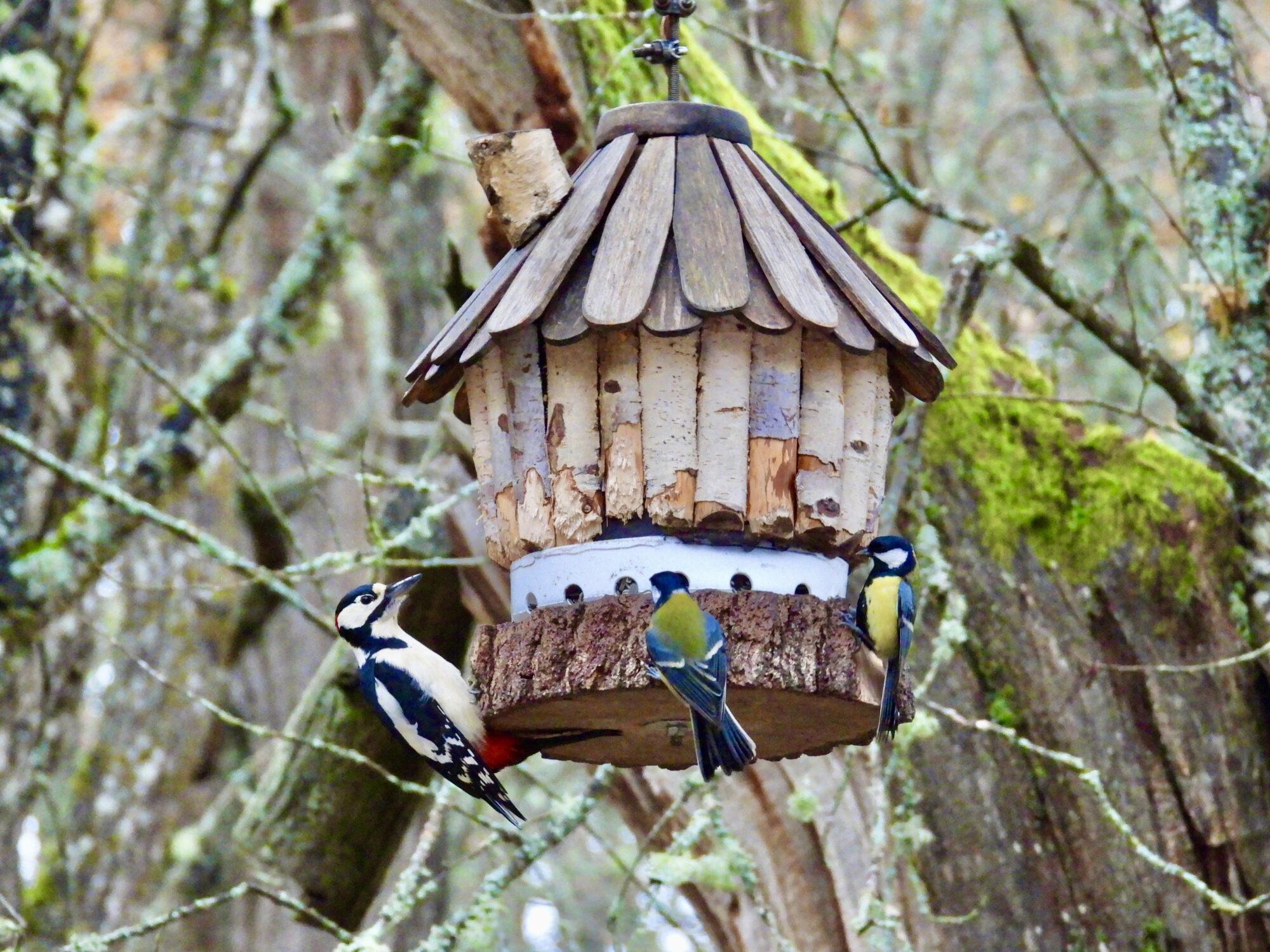 Valokuvaaja: Juhani Peltonen