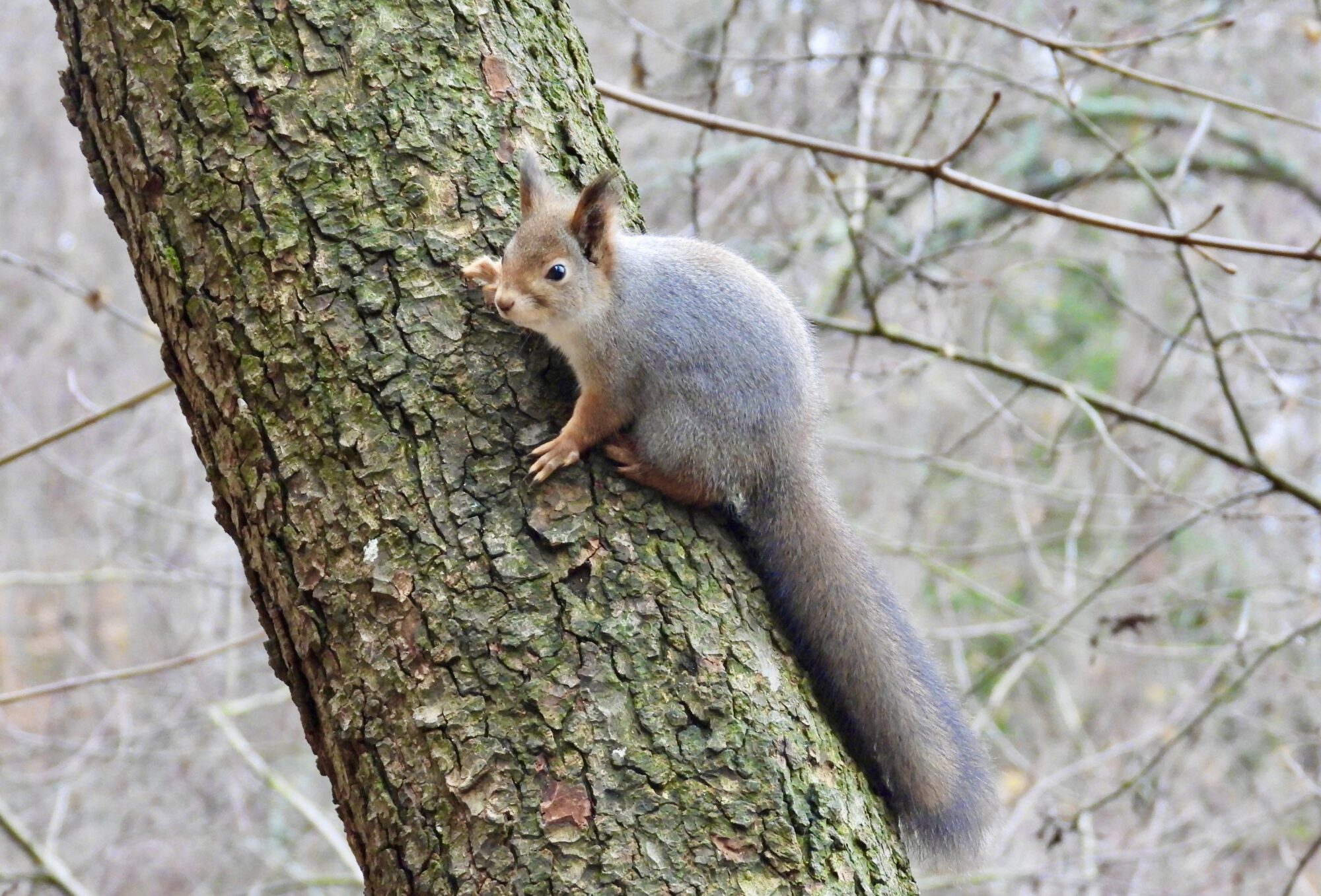 Valokuvaaja: Juhani Peltonen