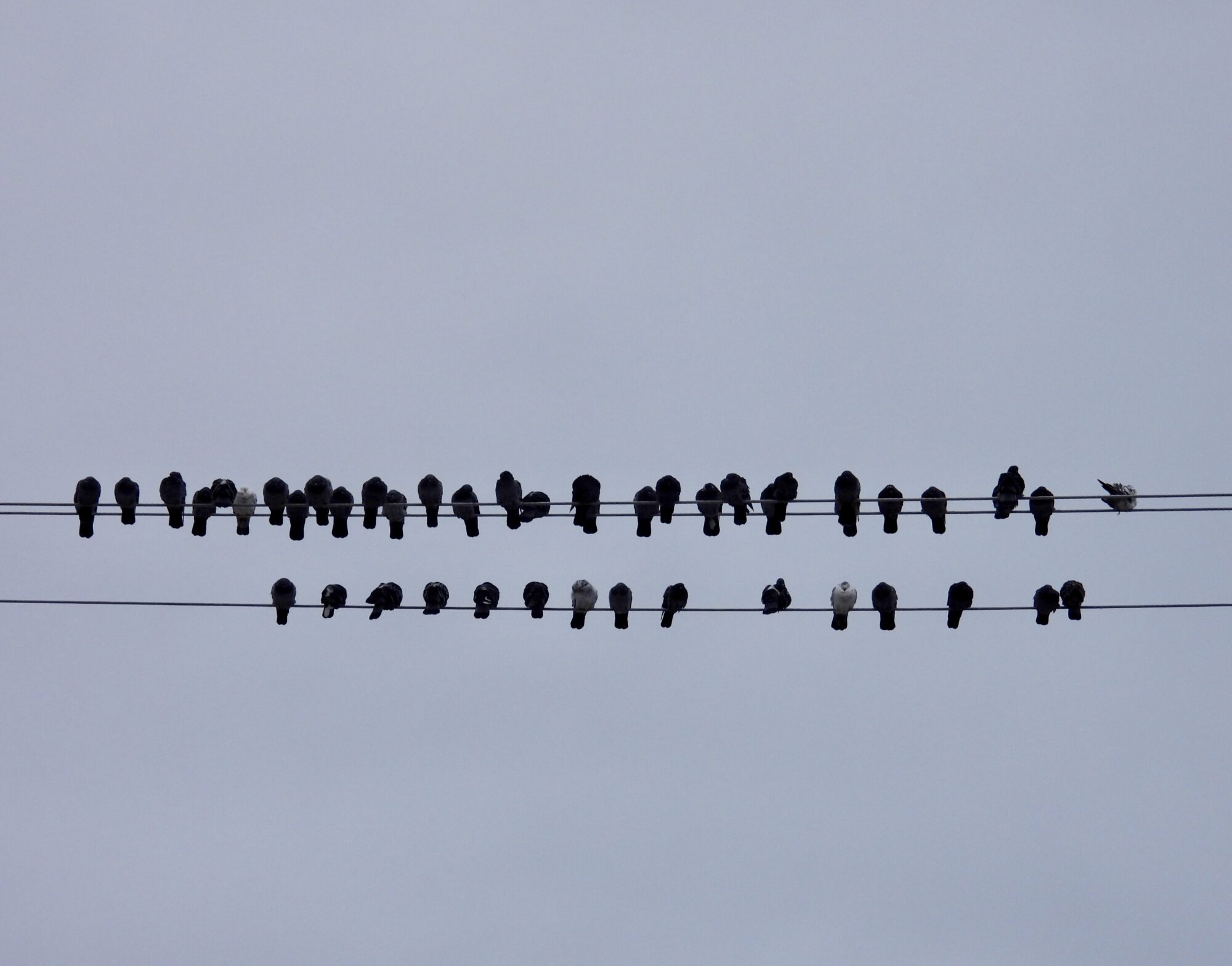 Valokuvaaja: Juhani Peltonen