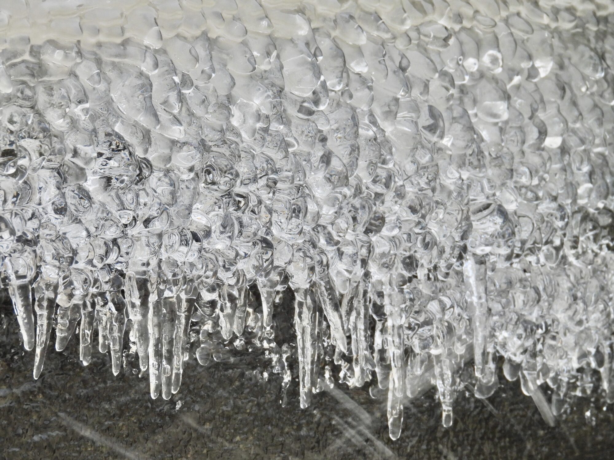 Valokuvaaja: Juhani Peltonen