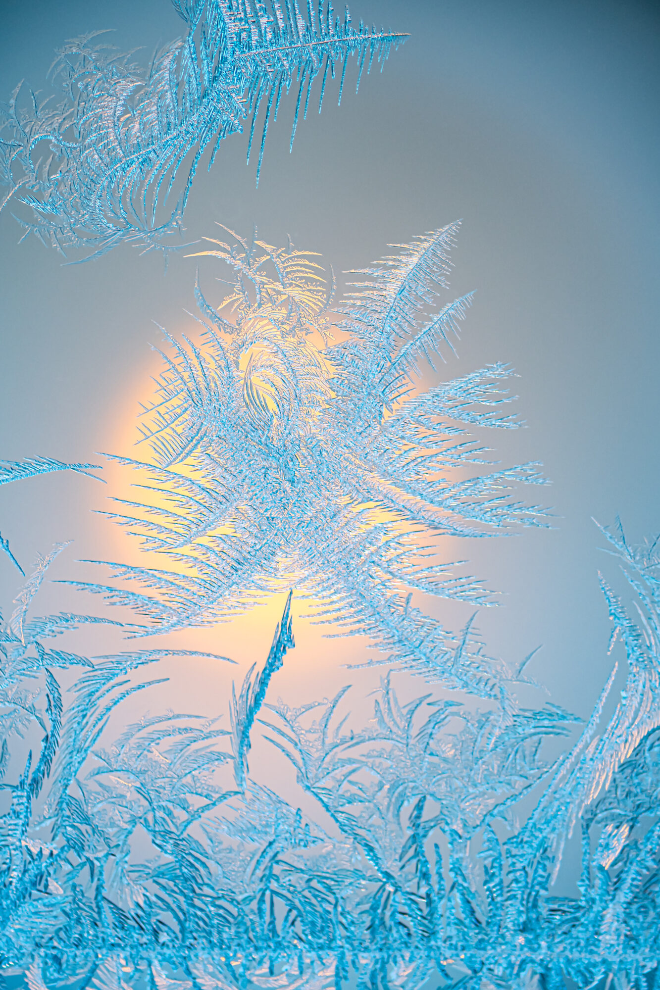 Valokuvaaja: Leena Rissanen