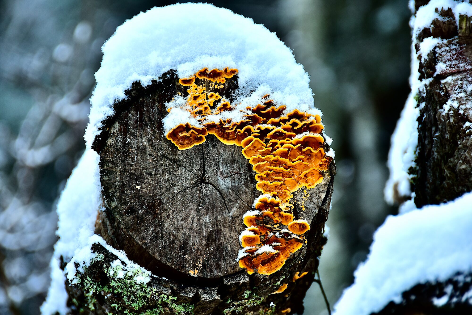 Valokuvaaja: Lasse Rokka