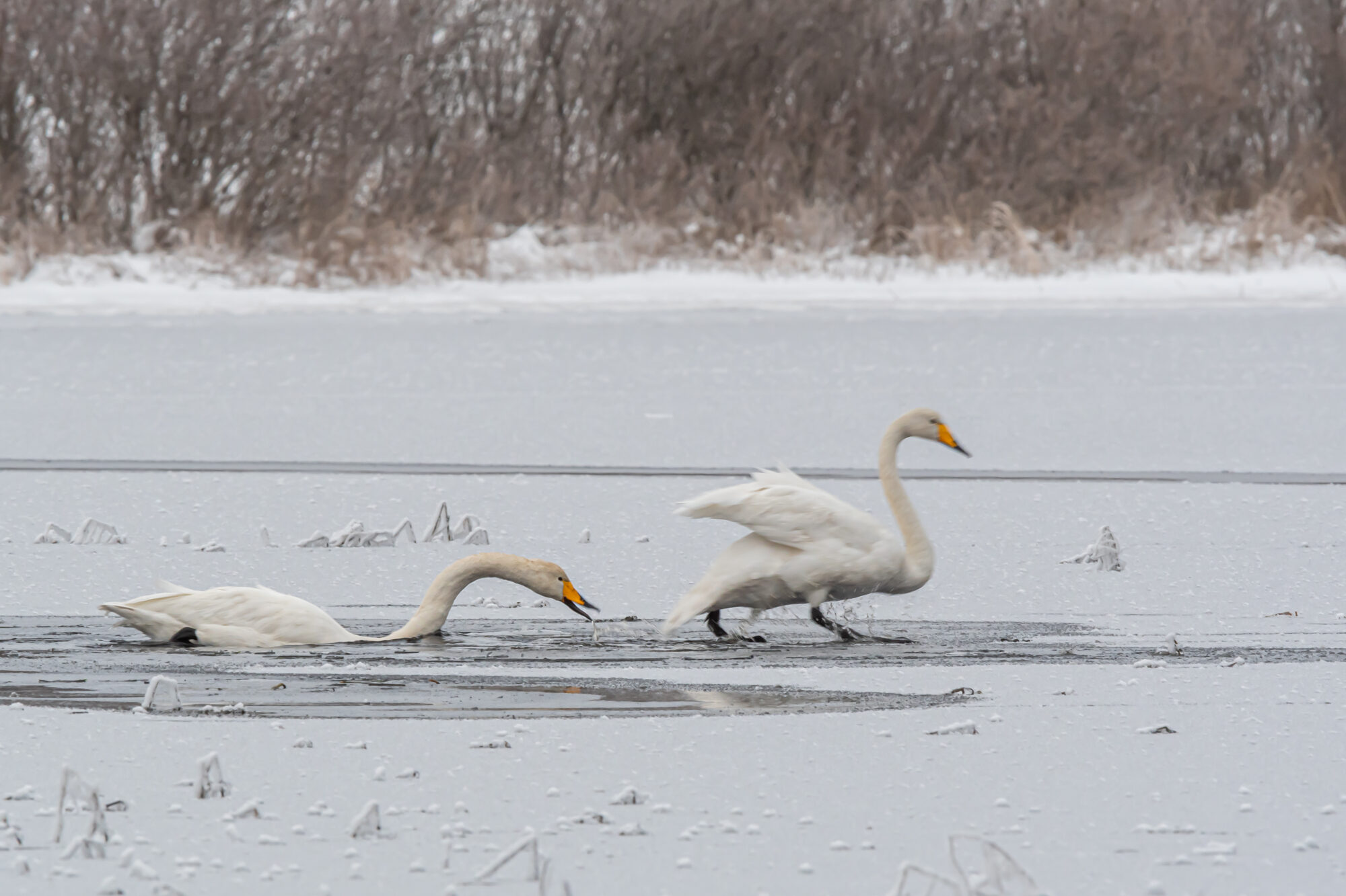 Valokuvaaja: Leena Rissanen