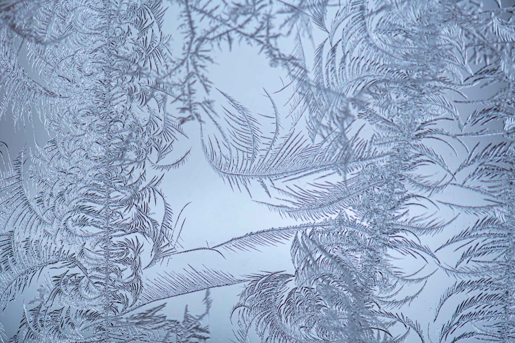 Valokuvaaja: Leena Rissanen