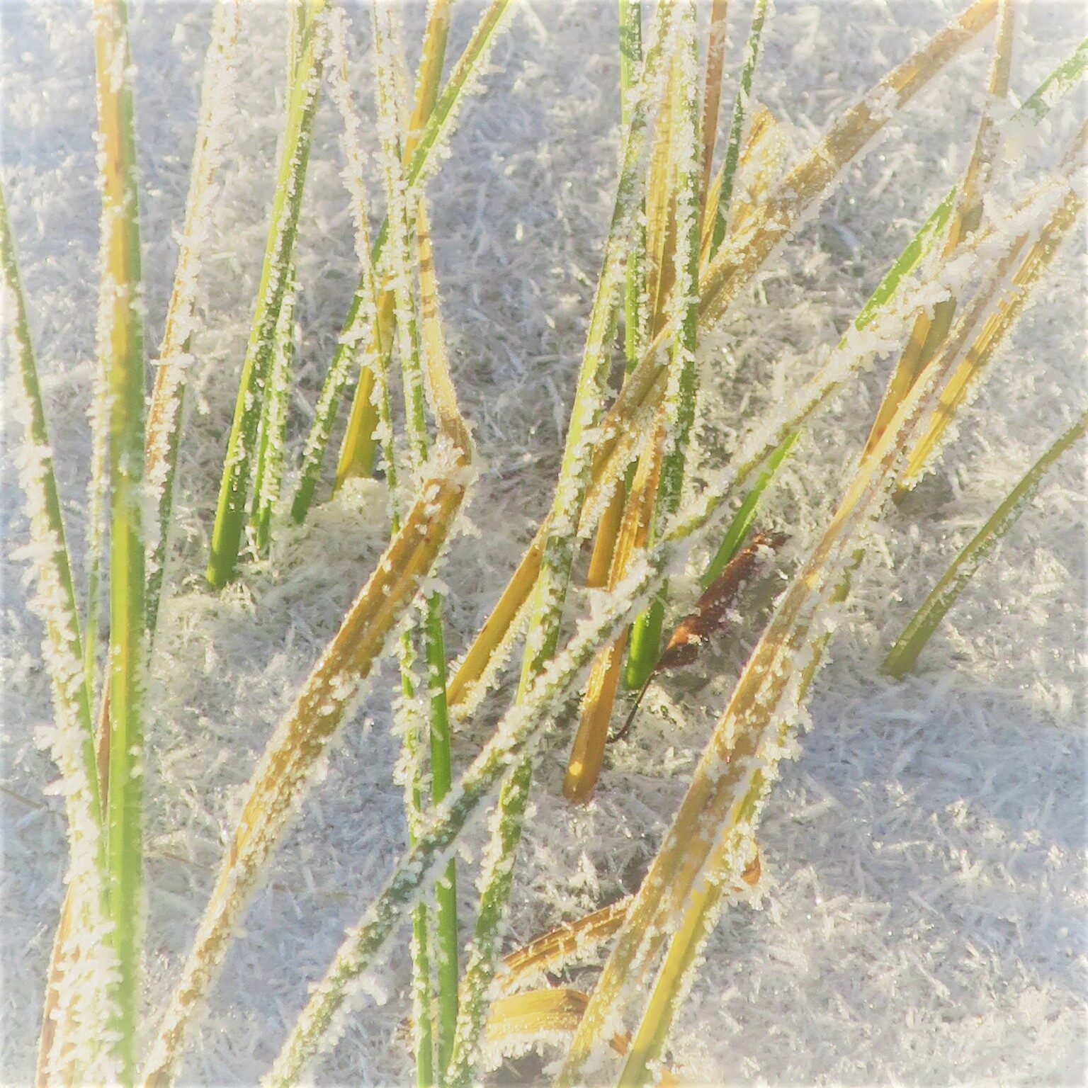 Valokuvaaja: Arto Alasuutari