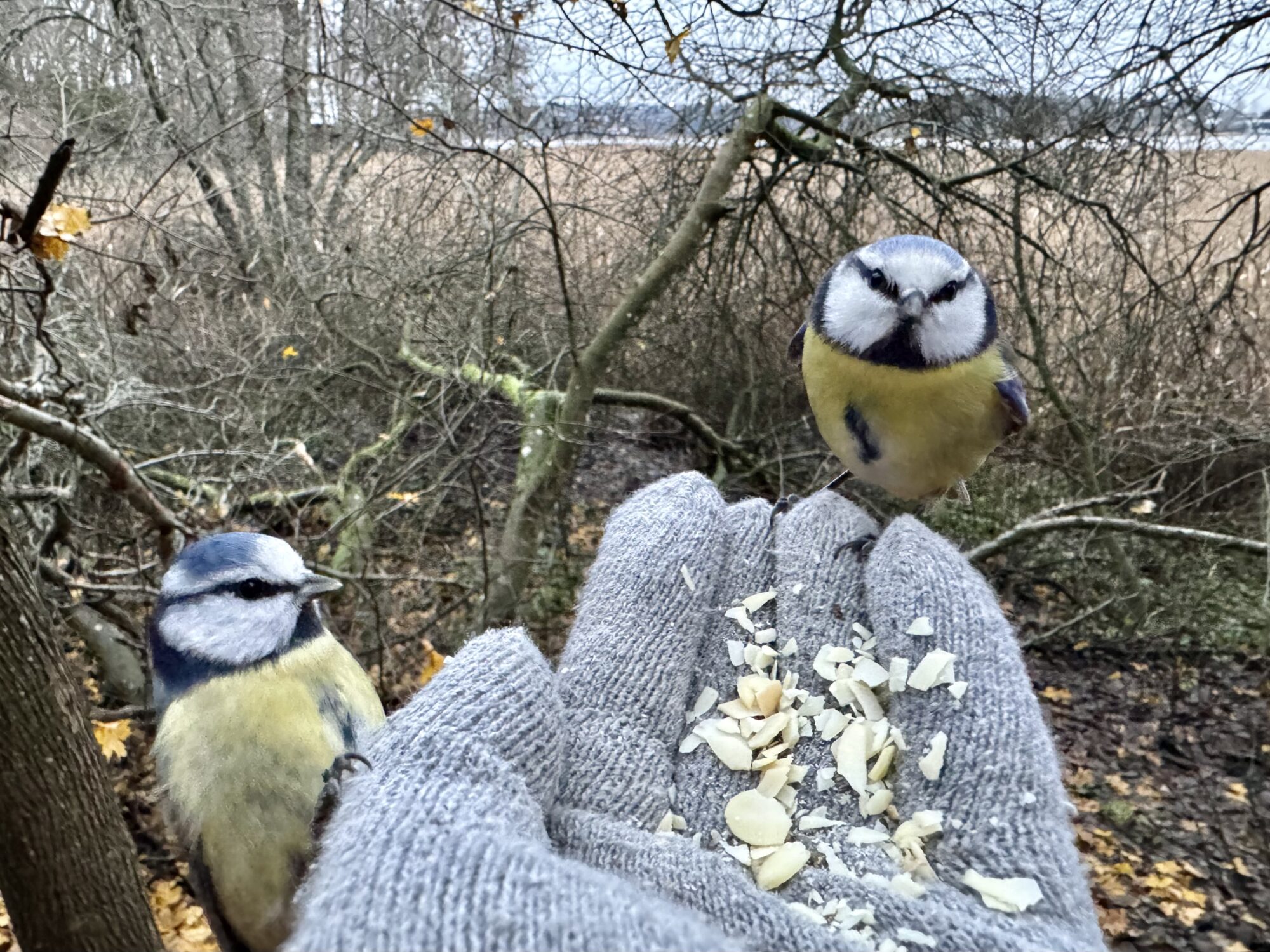 Valokuvaaja: Juhani Peltonen