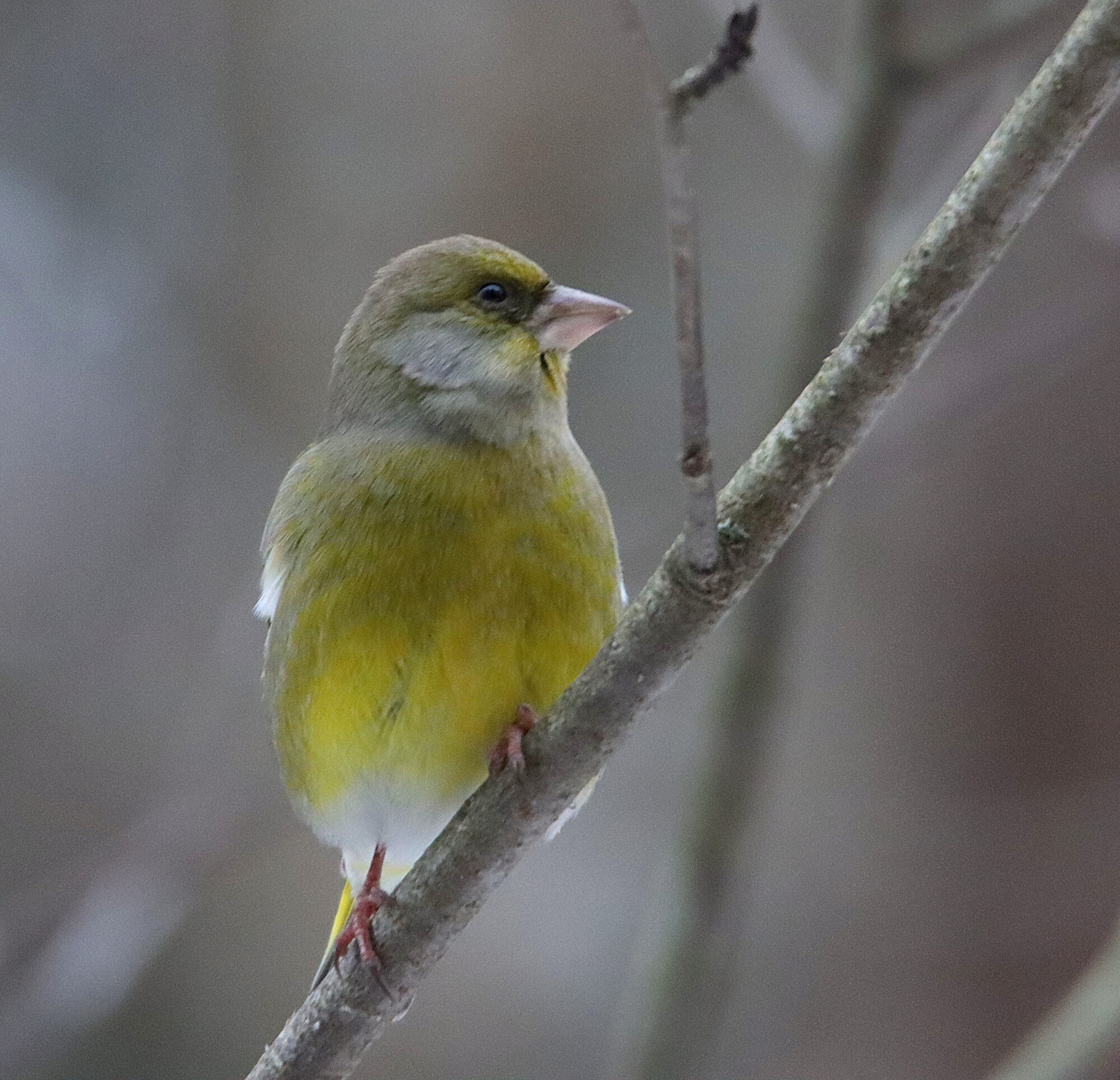 Valokuvaaja: Irja Lehtinen