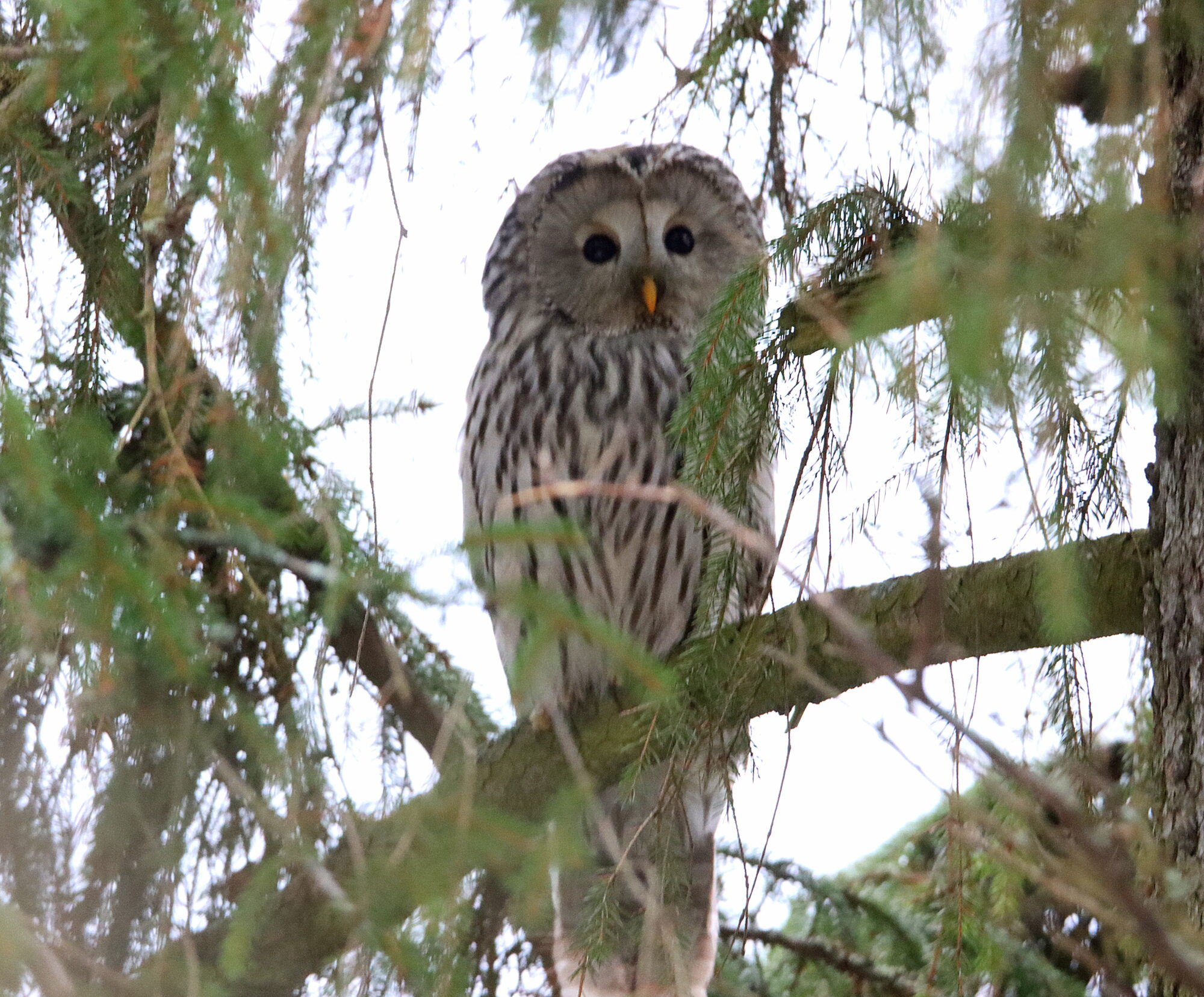 Valokuvaaja: Irja Lehtinen