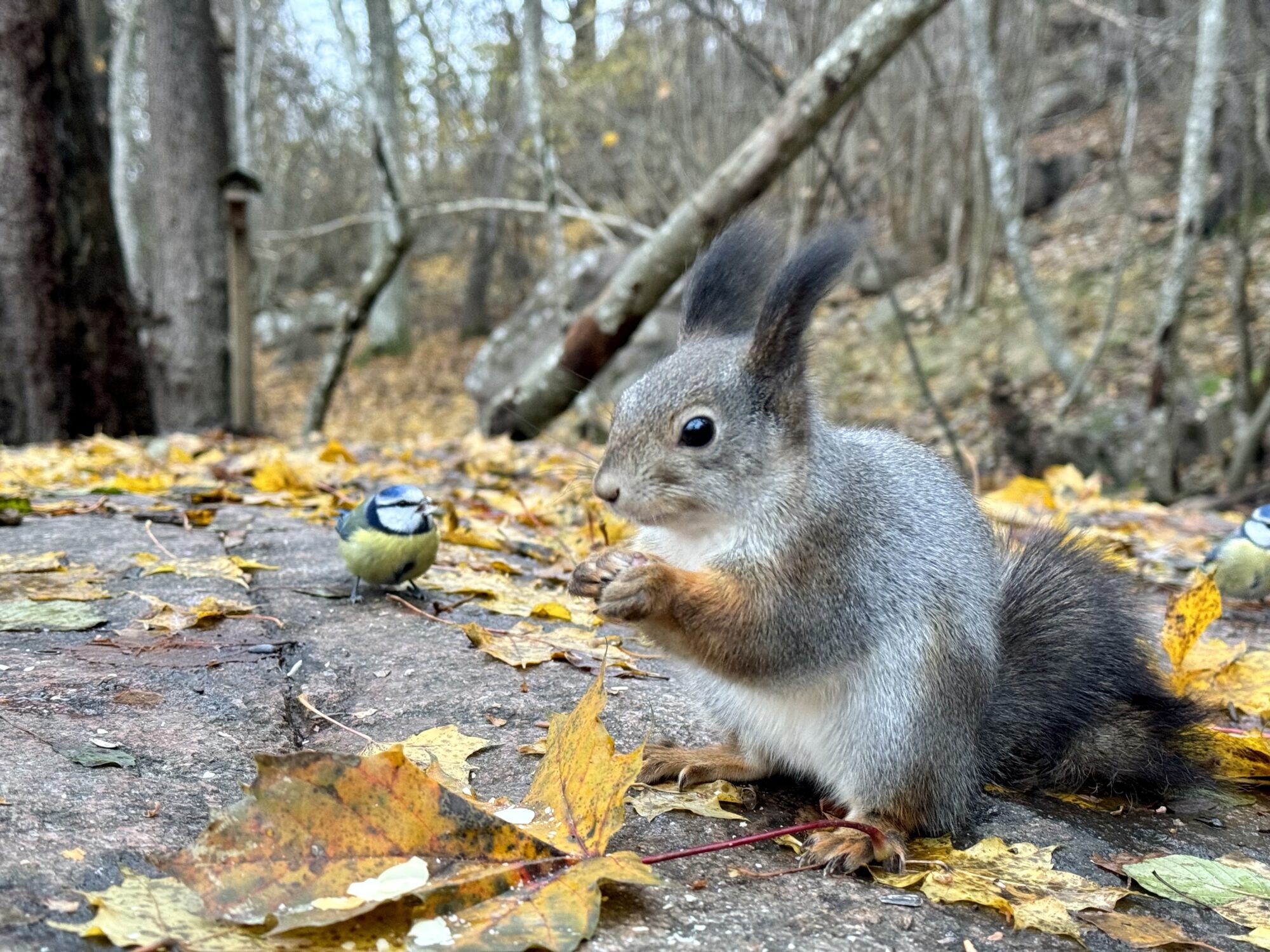 Valokuvaaja: Juhani Peltonen