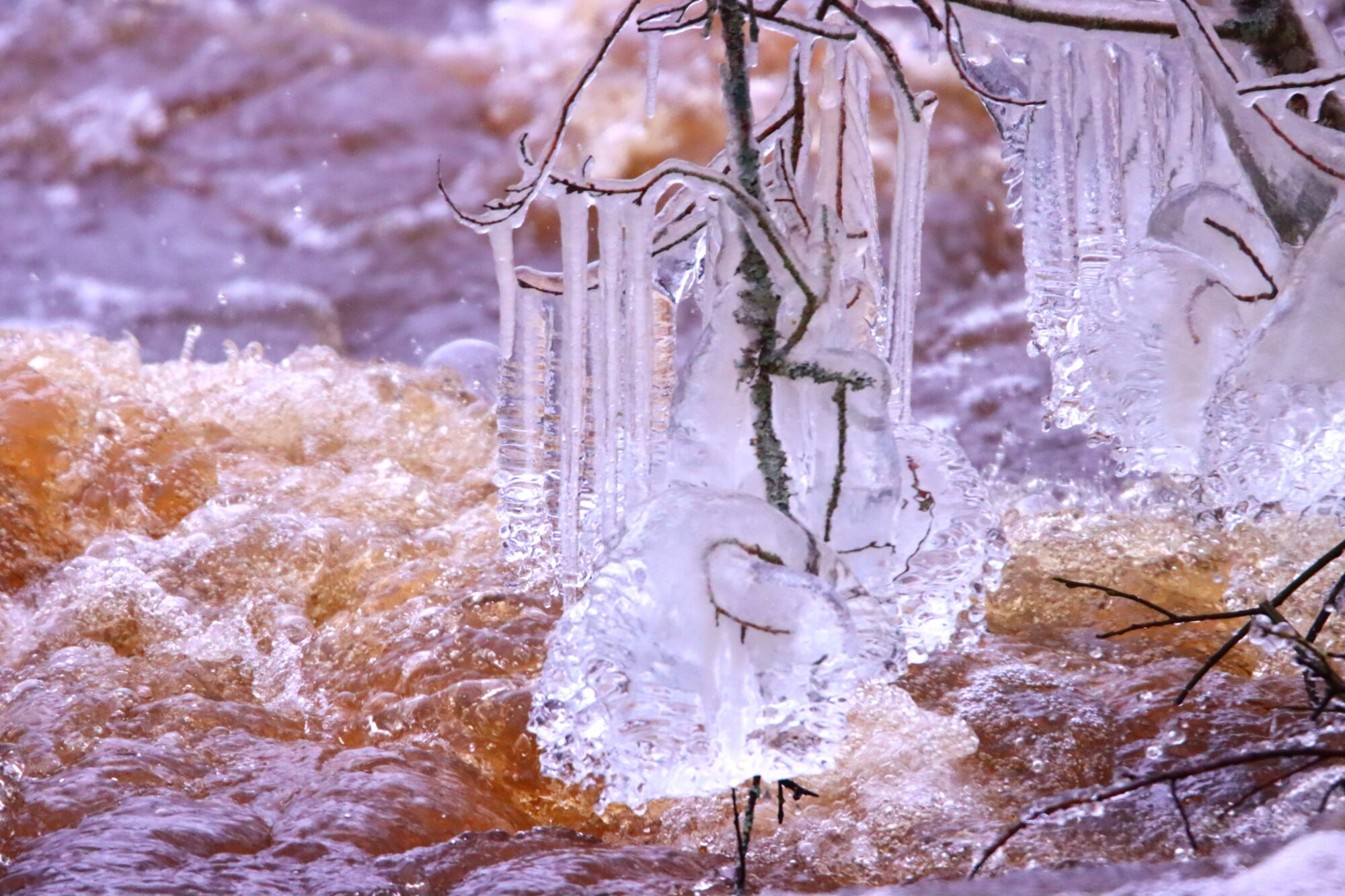 Valokuvaaja: Irja Lehtinen