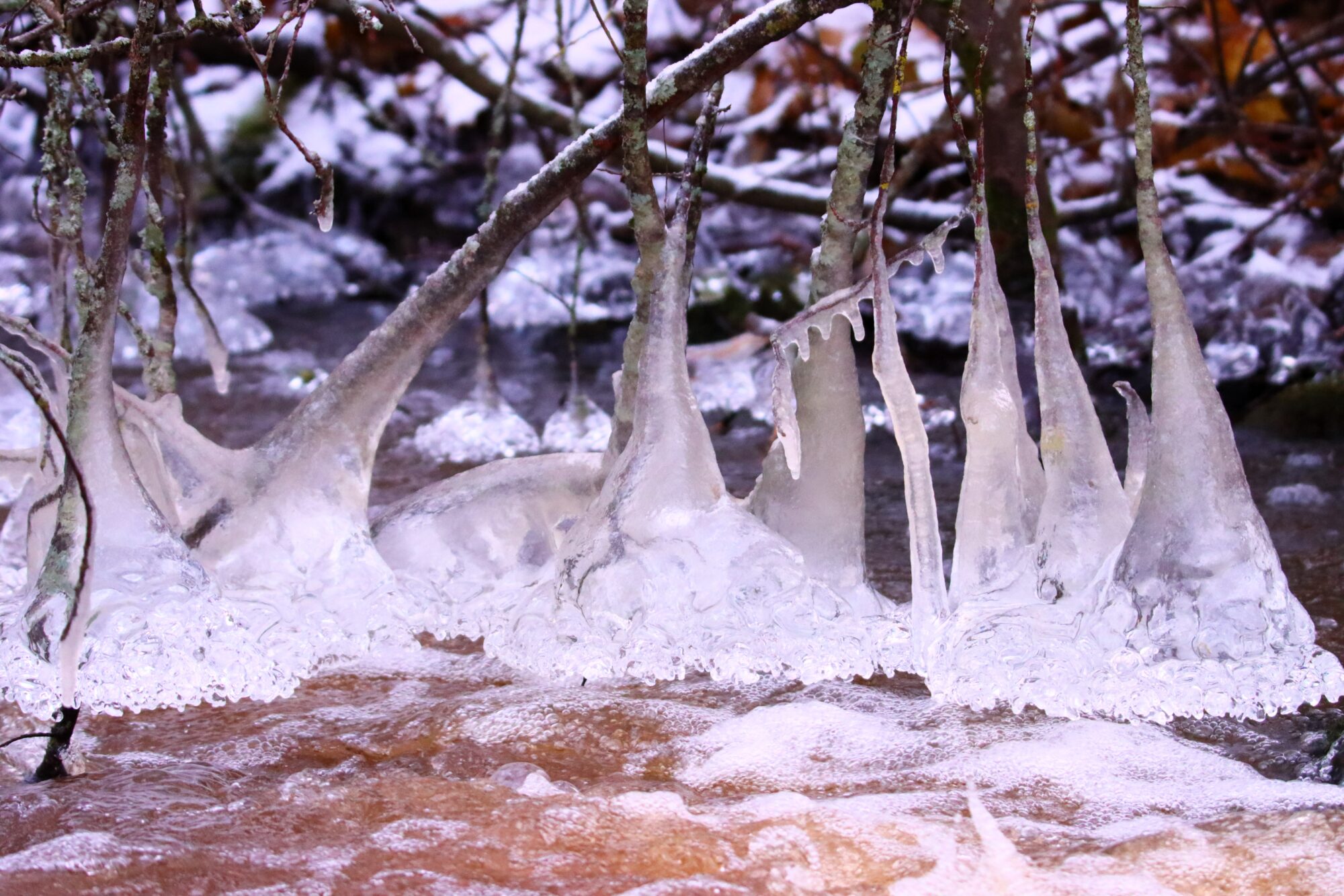Valokuvaaja: Irja Lehtinen