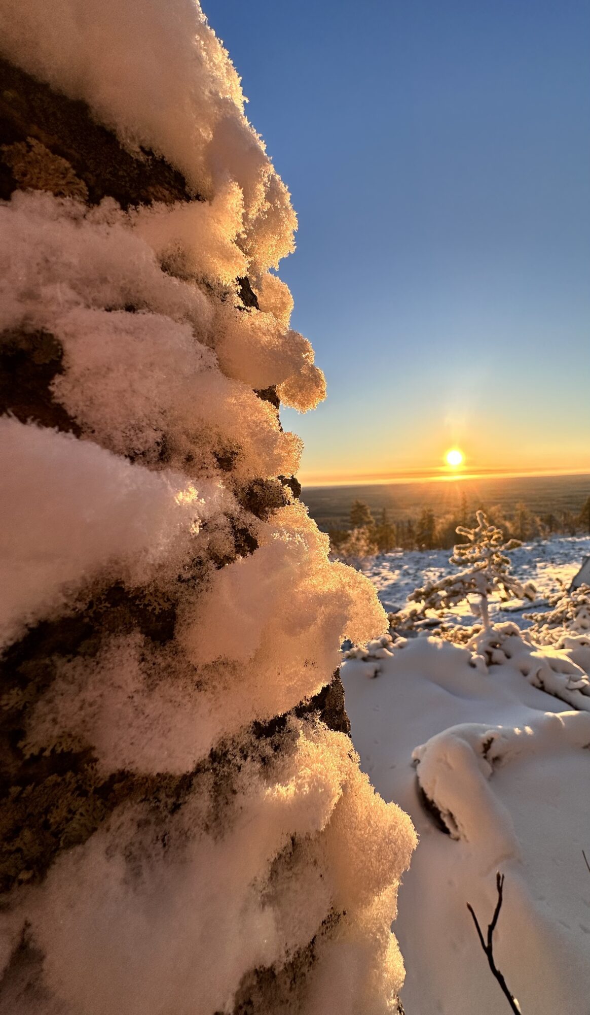 Valokuvaaja: Minna Kallunki