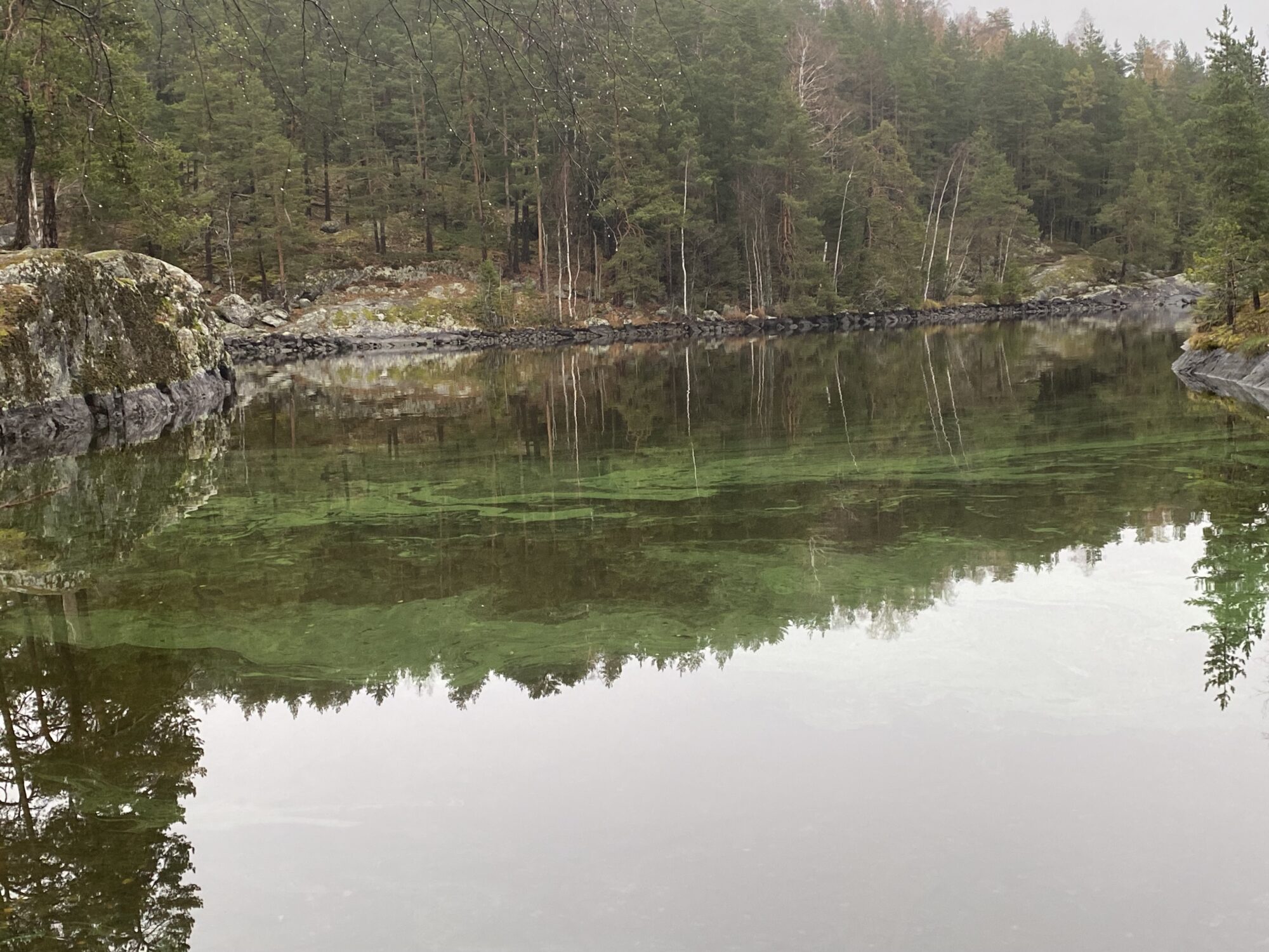 Valokuvaaja: Markku Ranta-Eilola