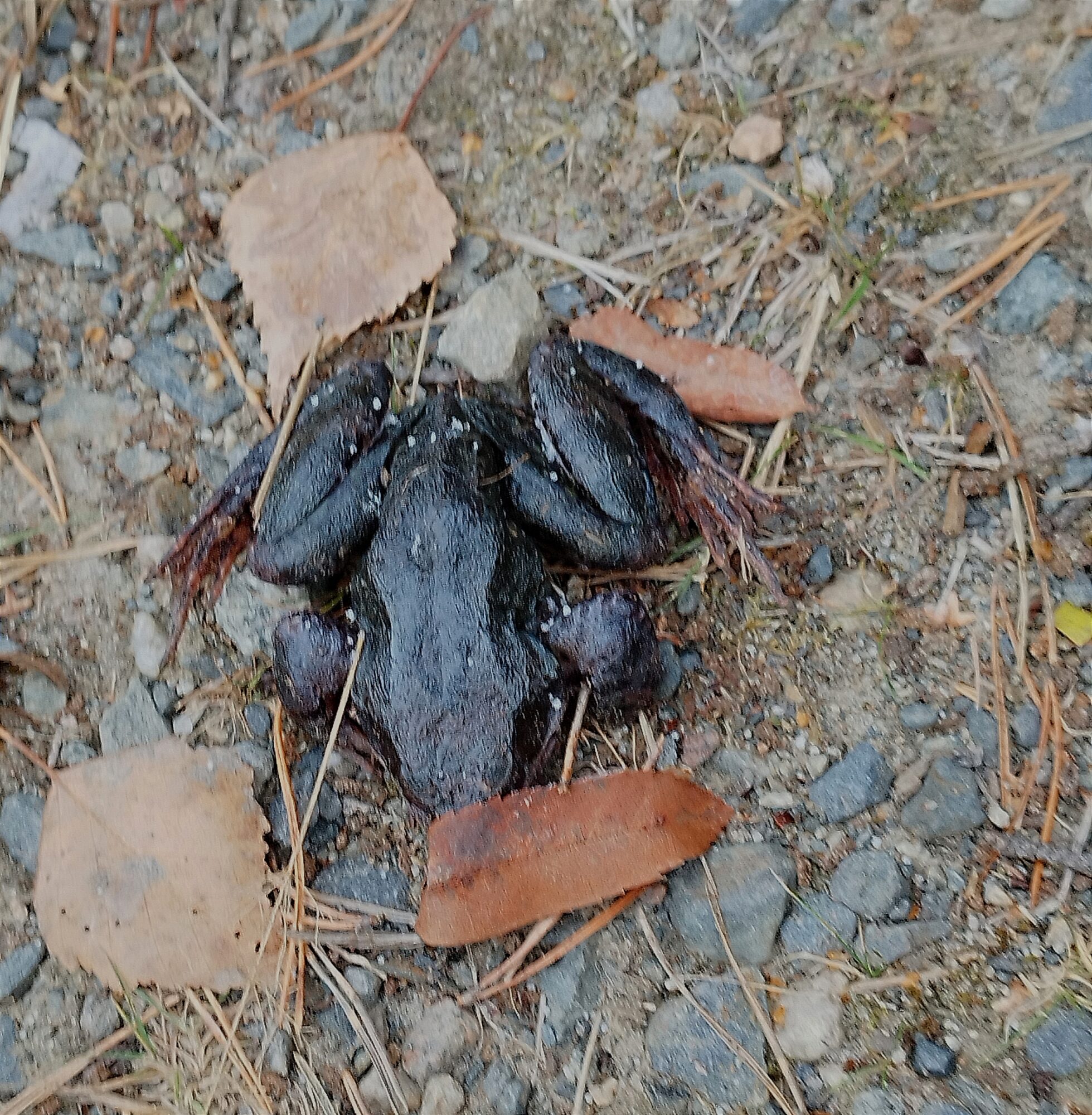 Valokuvaaja: Tiina R