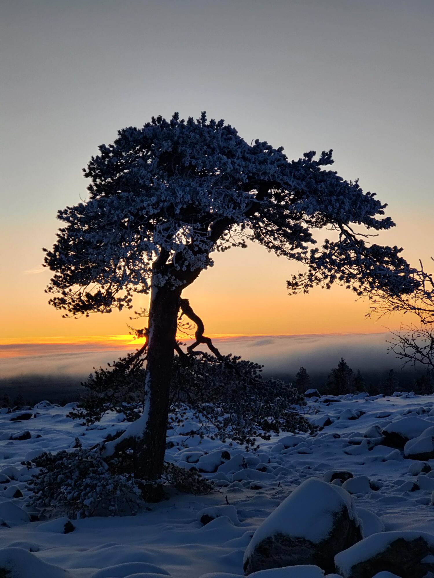 Valokuvaaja: Katja Kuoksa