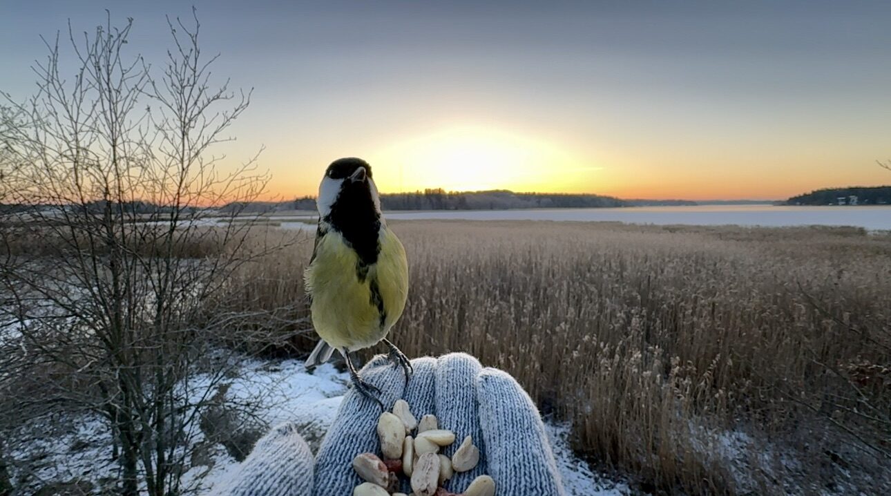 Valokuvaaja: Juhani Peltonen