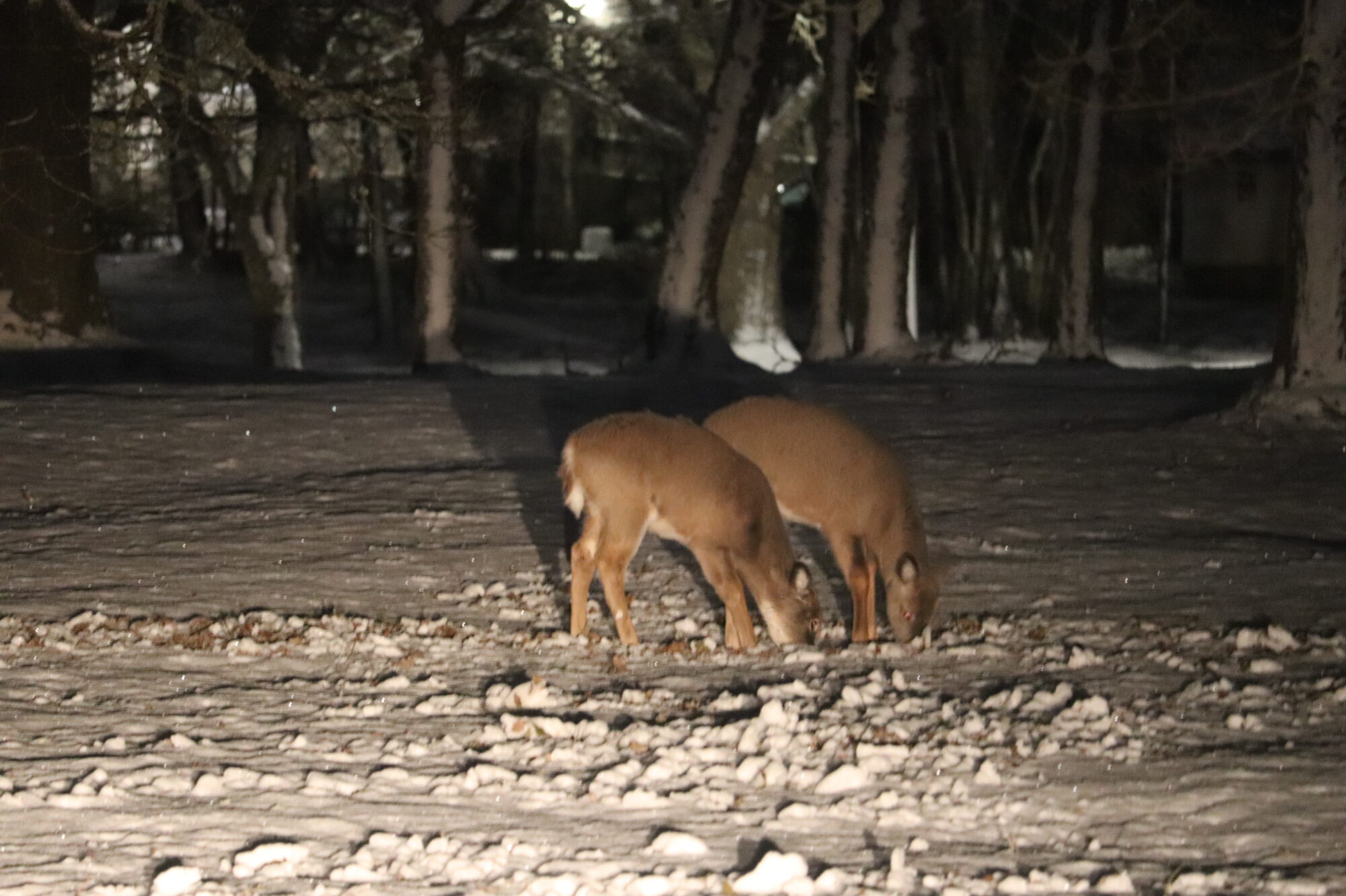 Valokuvaaja: Riitta Marjamäki