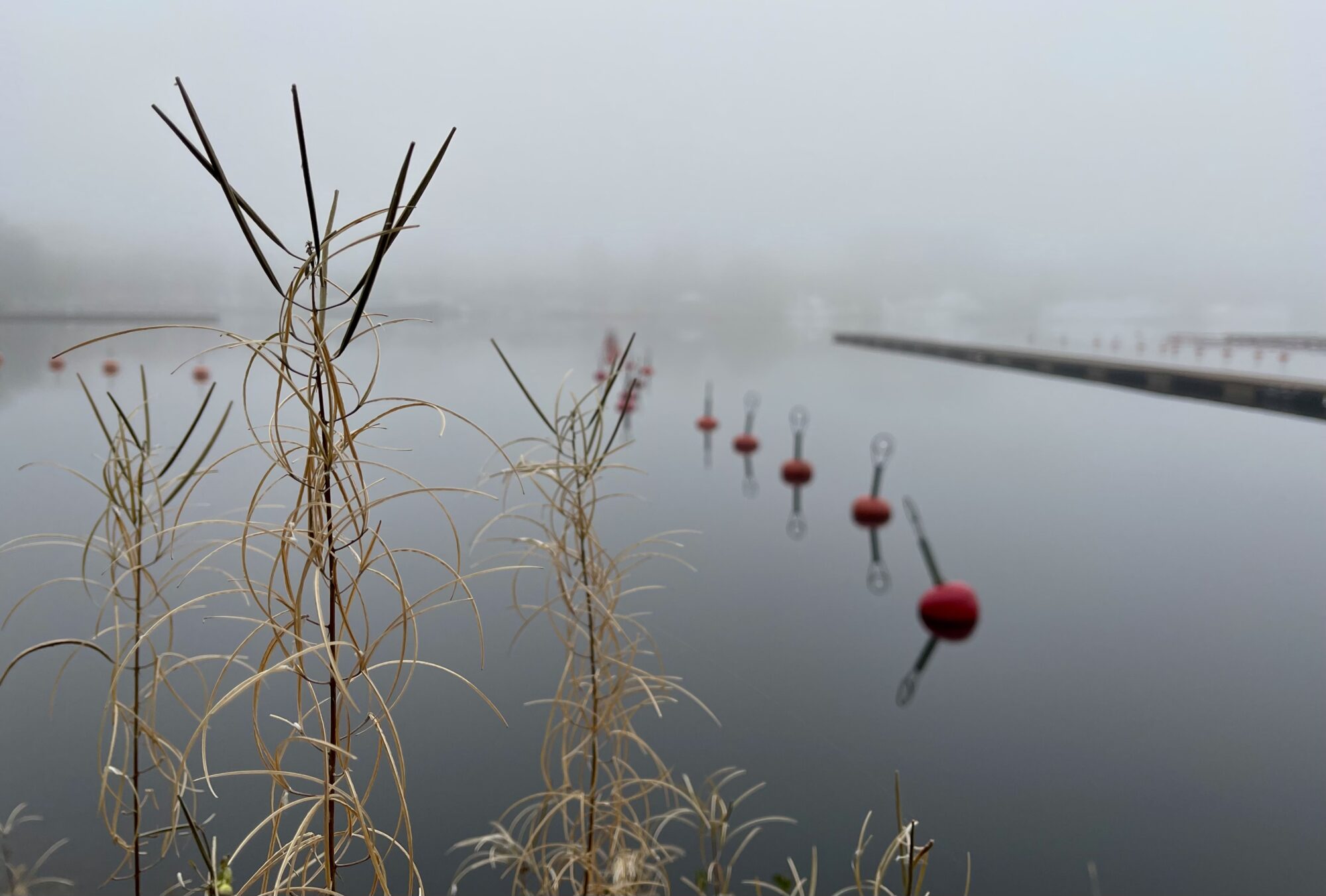 Valokuvaaja: Liisa Niiva-Korpela