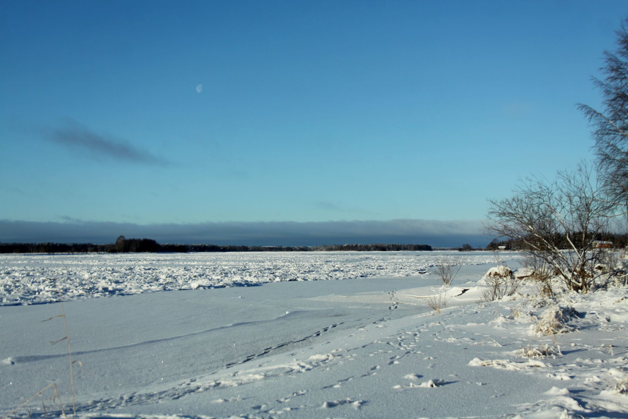 Valokuvaaja: Pirkko Siukonen