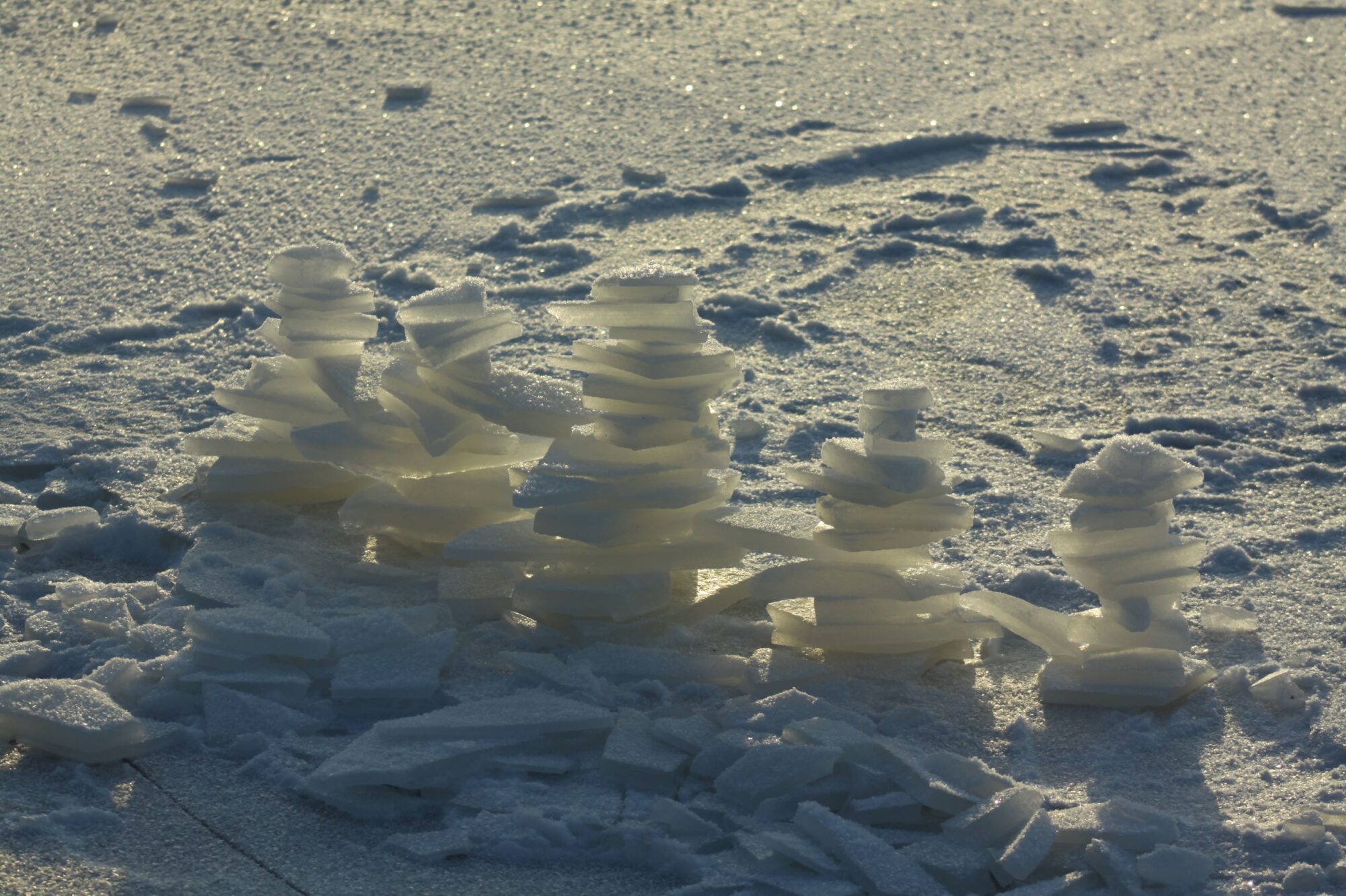 Valokuvaaja: Pirkko Siukonen