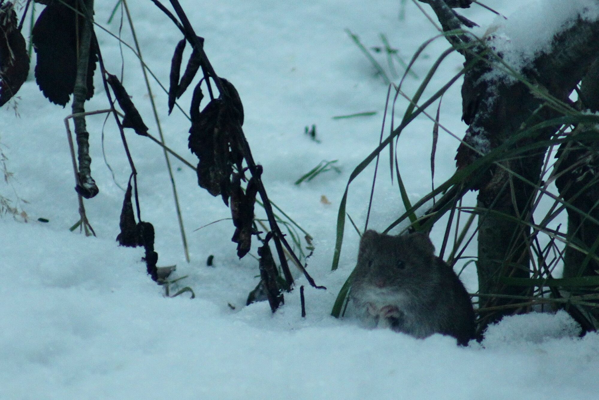 Valokuvaaja: Pirkko Siukonen