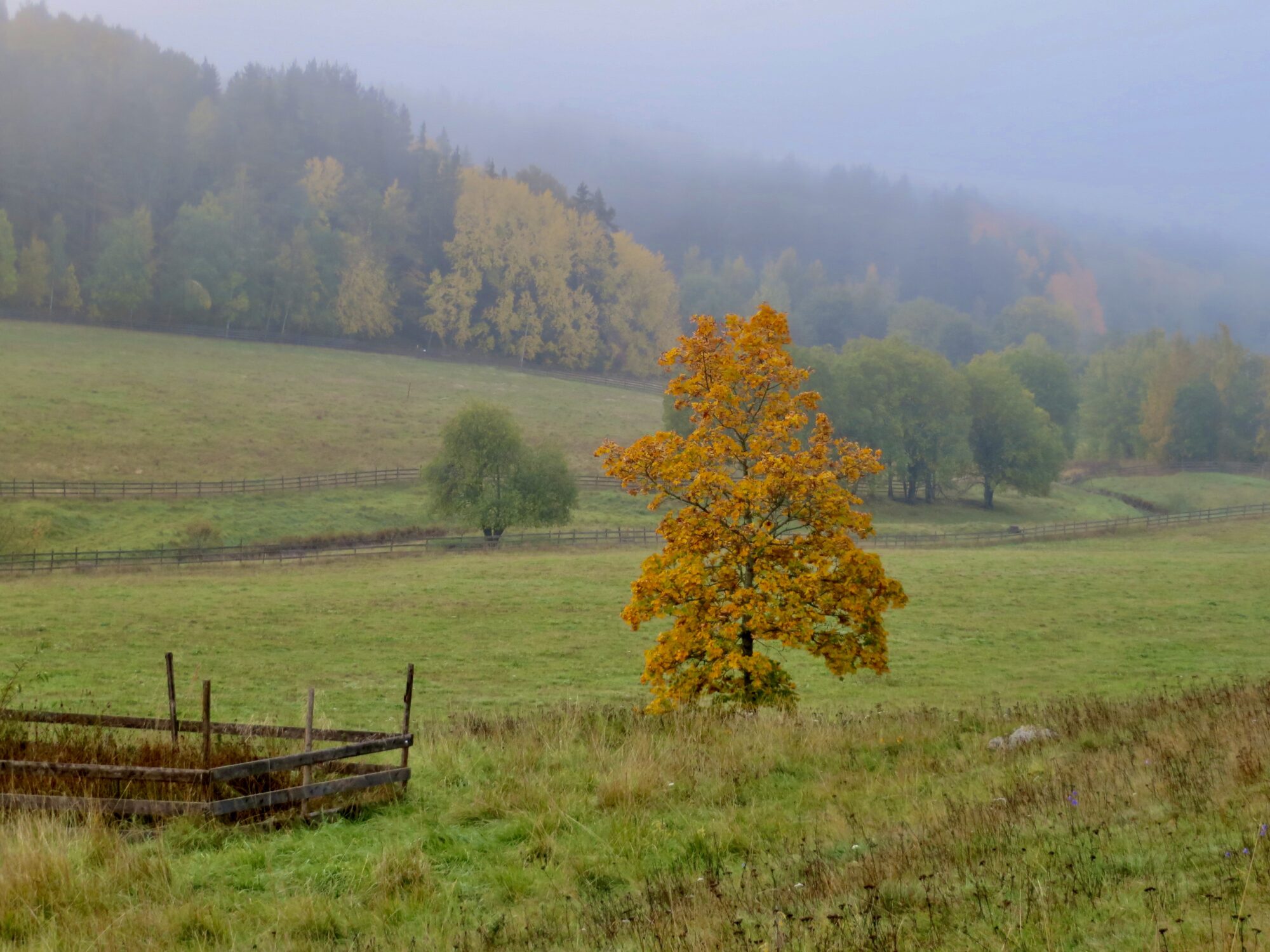 Valokuvaaja: Juhani Peltonen