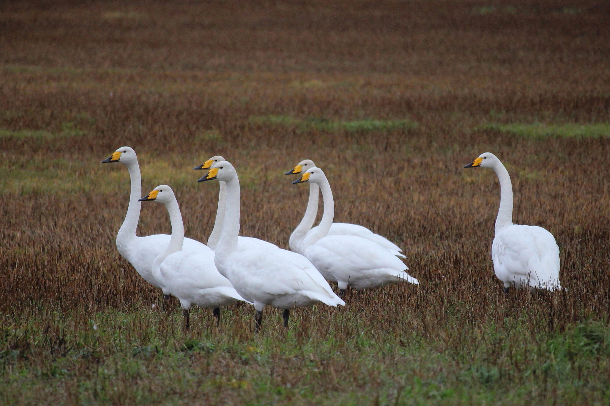 Valokuvaaja: Kirsi-Marja Joenpolvi