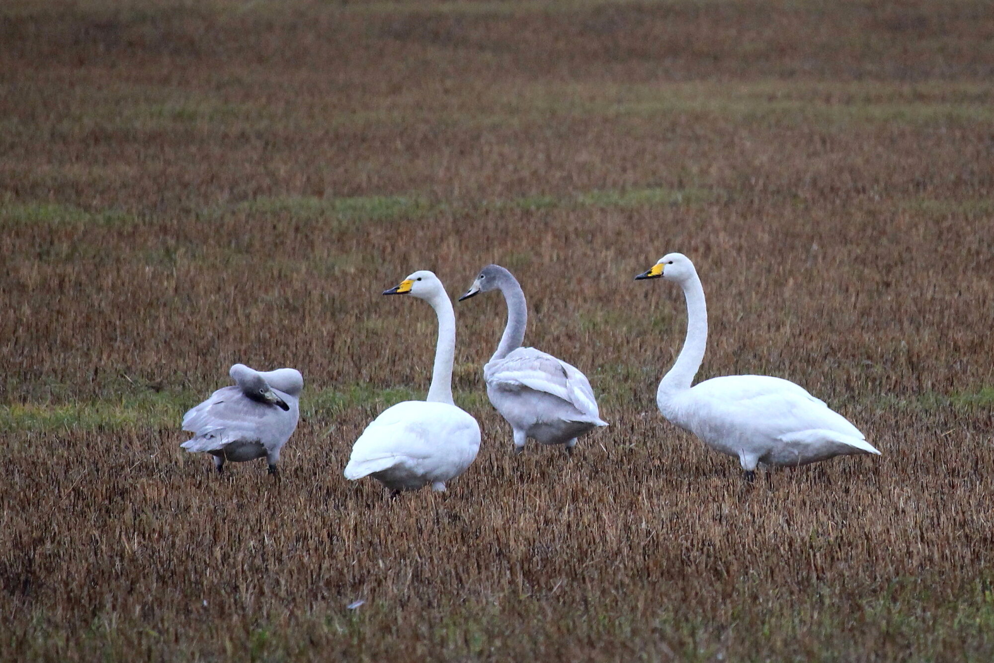 Valokuvaaja: Kirsi-Marja Joenpolvi Valokuvaaja: Kirsi-Marja Joenpolvi