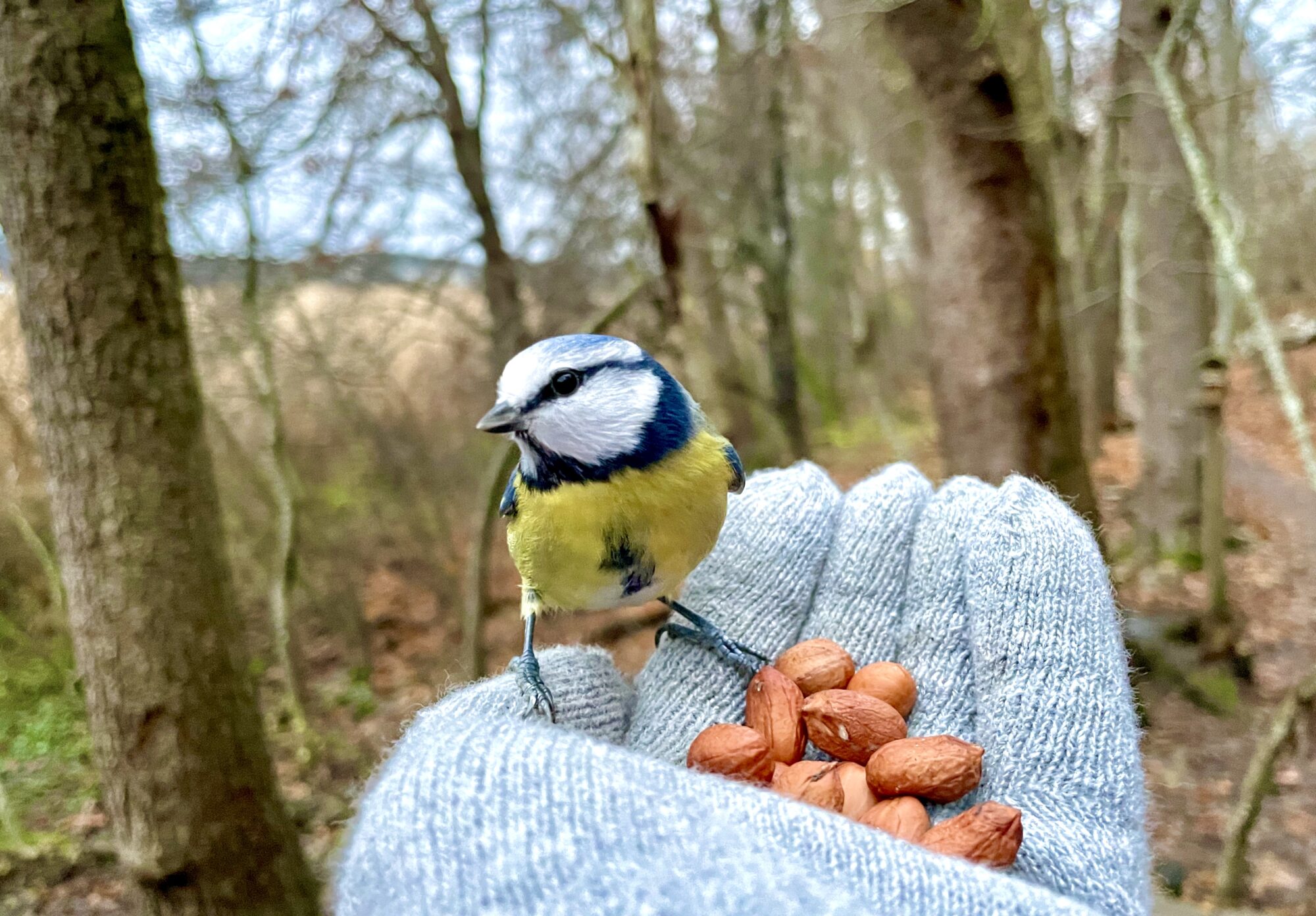 Valokuvaaja: Juhani.peltonen@icloud.com