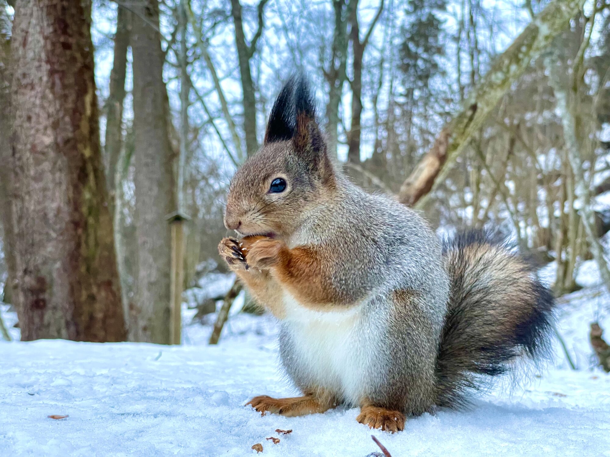 Valokuvaaja: Juhani Peltonen