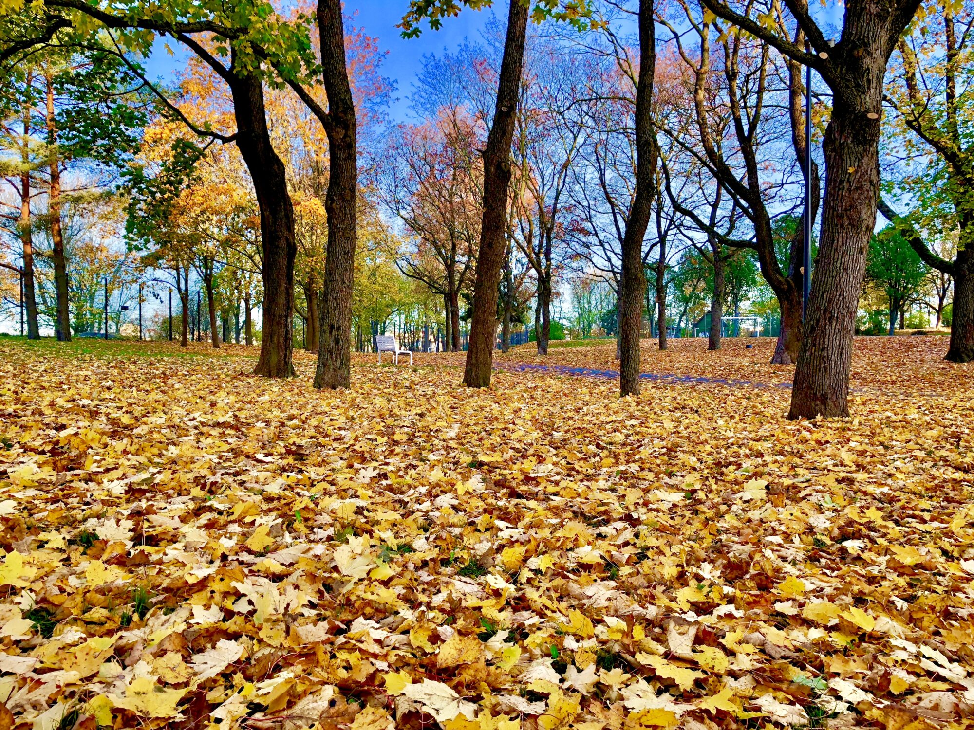 Valokuvaaja: Juhani Peltonen