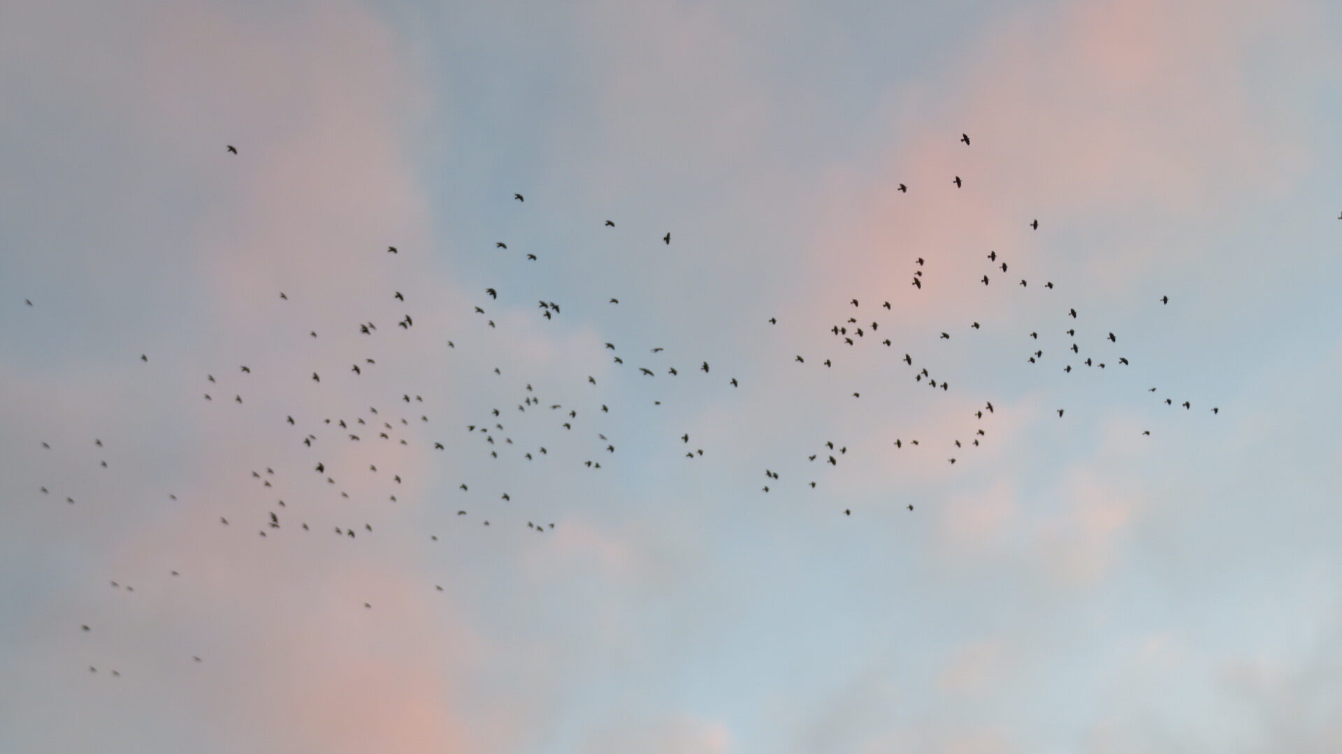 Valokuvaaja: Risto Kangassalo