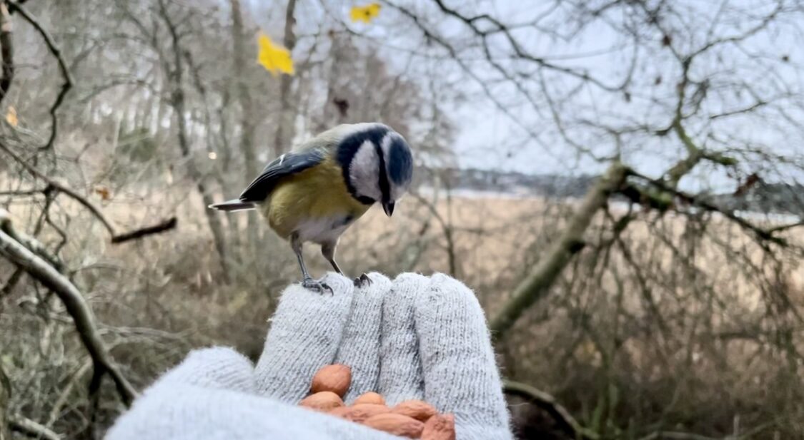 Valokuvaaja: Juhani Peltonen