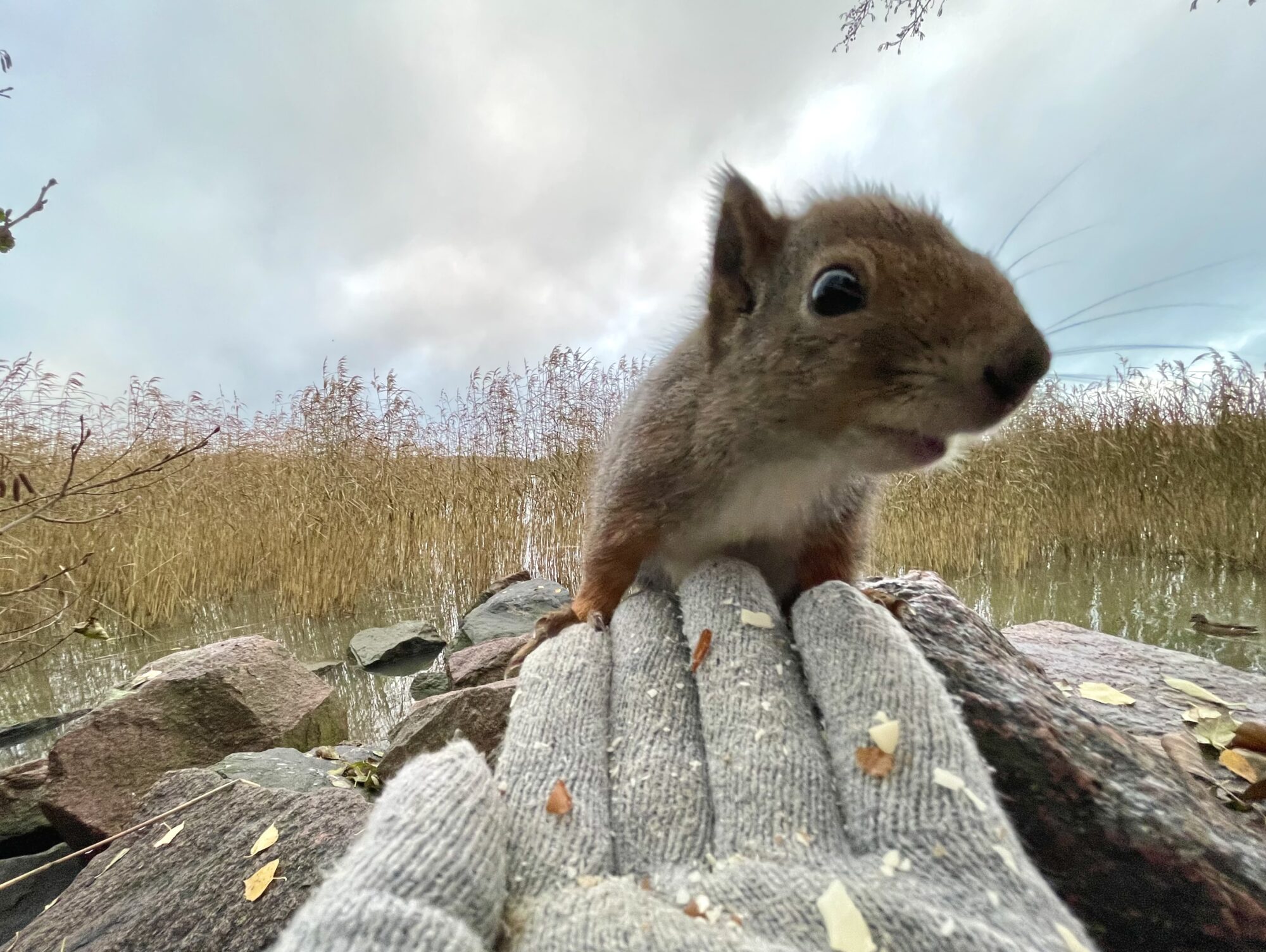 Valokuvaaja: Juhani Peltonen