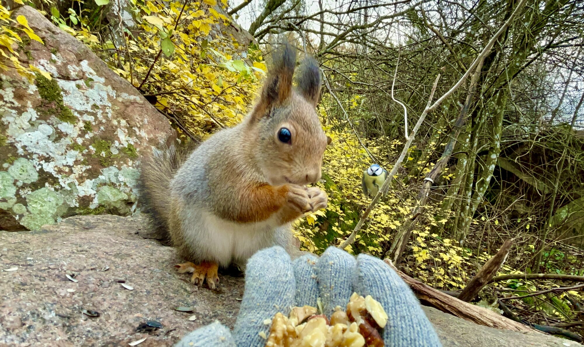 Valokuvaaja: Juhani Peltonen