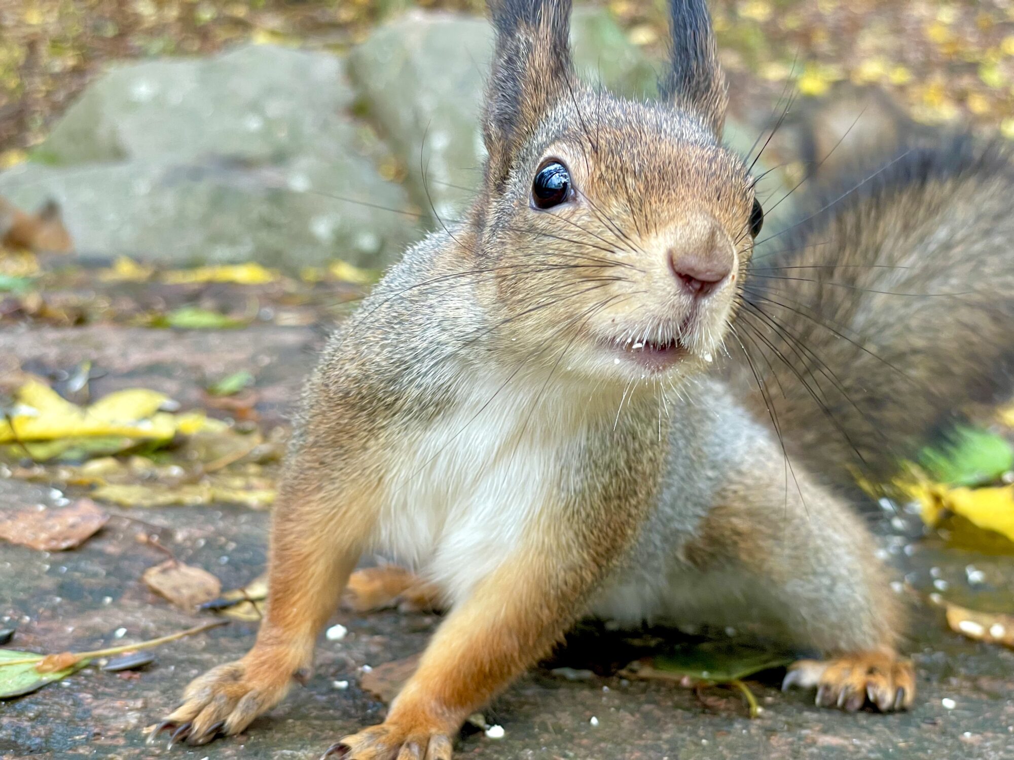 Valokuvaaja: Juhani Peltonen