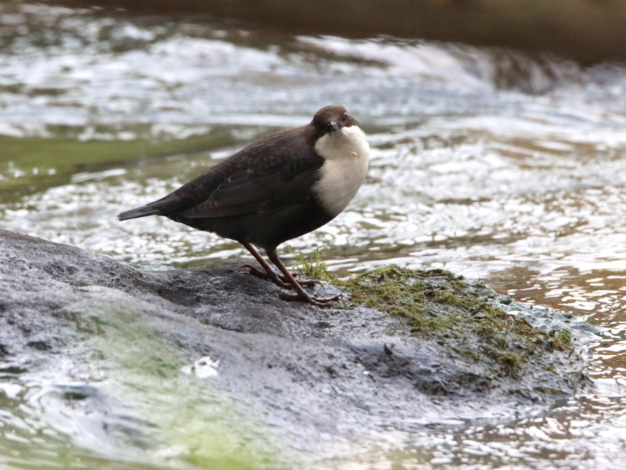 Valokuvaaja: Irja Lehtinen