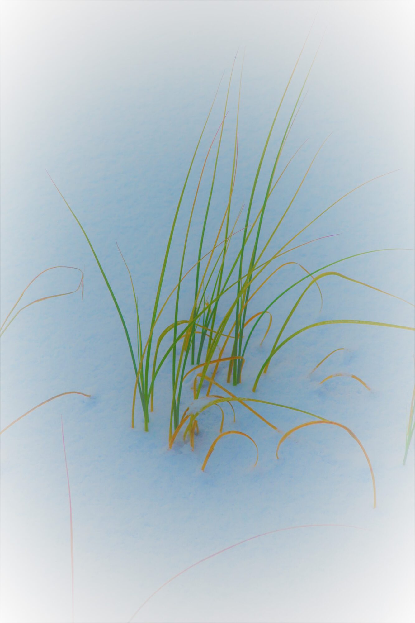 Valokuvaaja: Arto Alasuutari