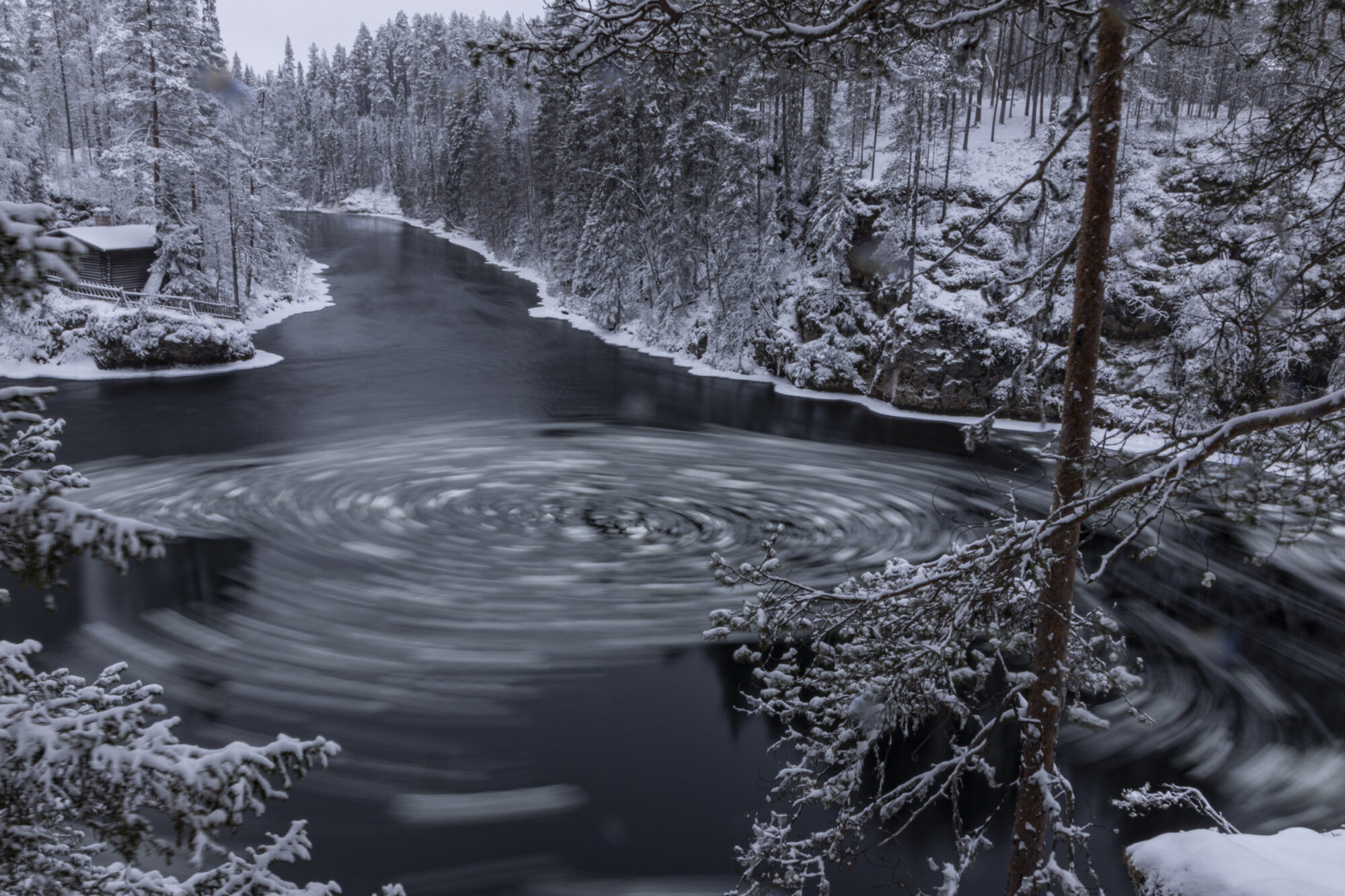 Valokuvaaja: Hannu Tikkanen