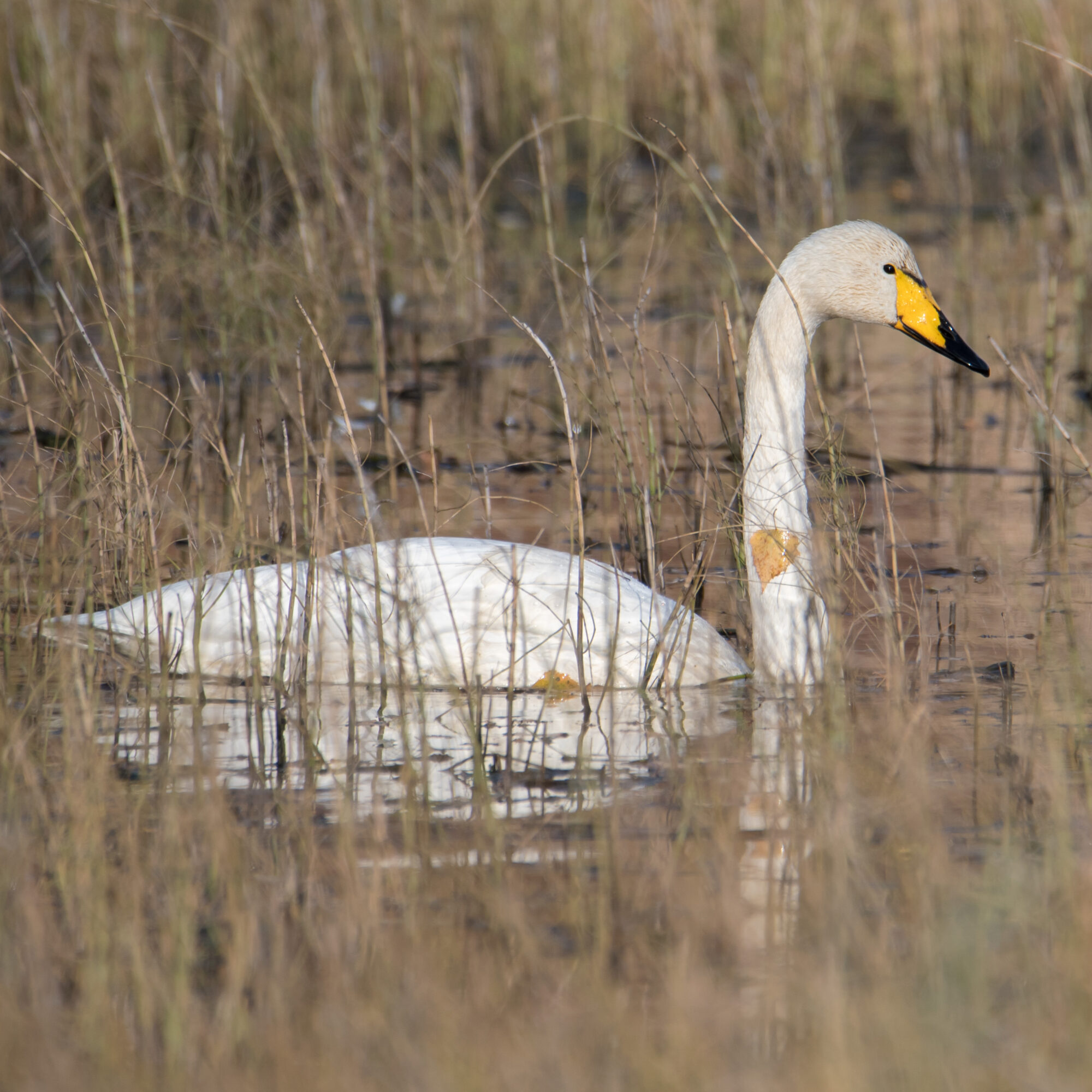 Valokuvaaja: Päivi Mustonen